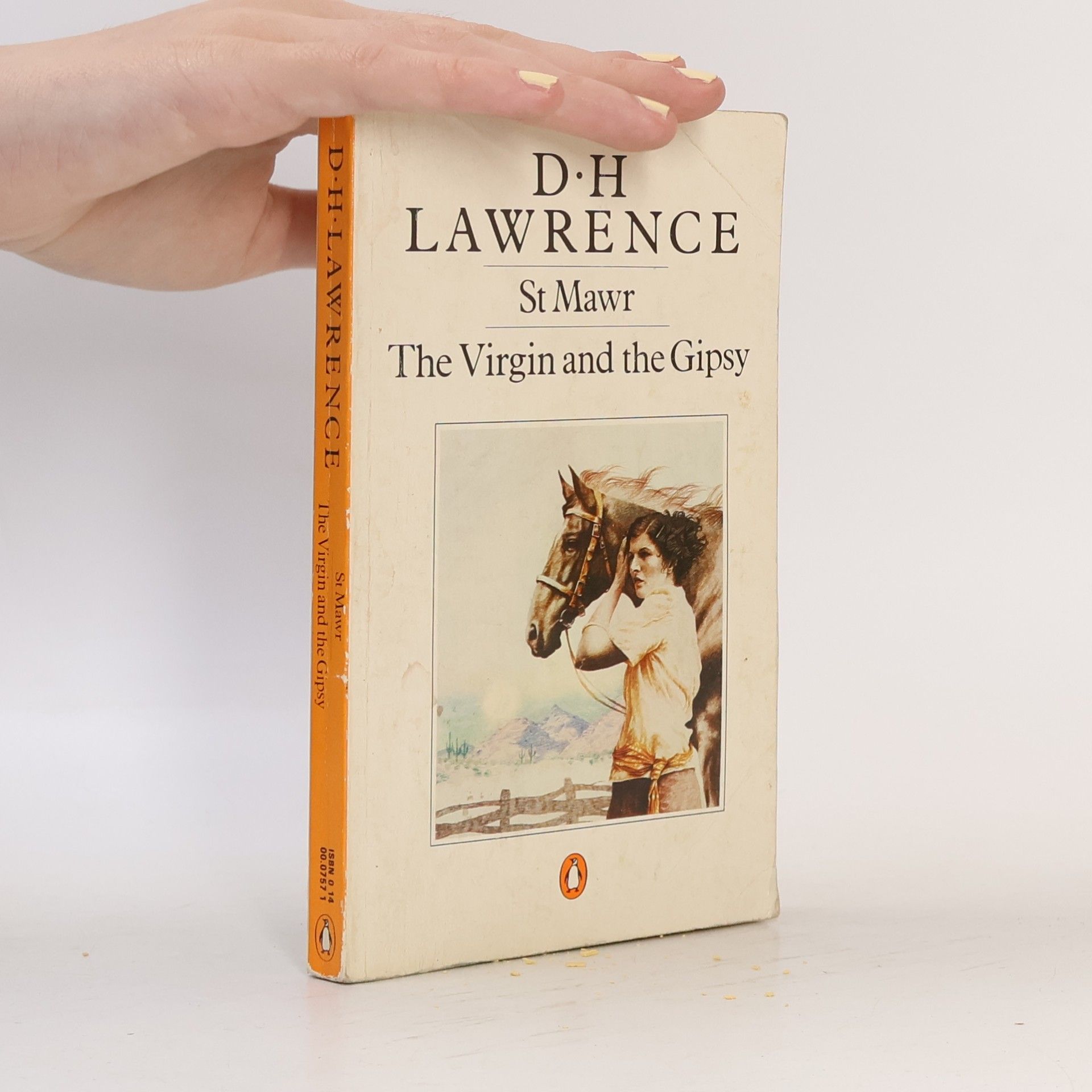 D. H. Lawrence St. Mawr. The Virgin and the Gypsy