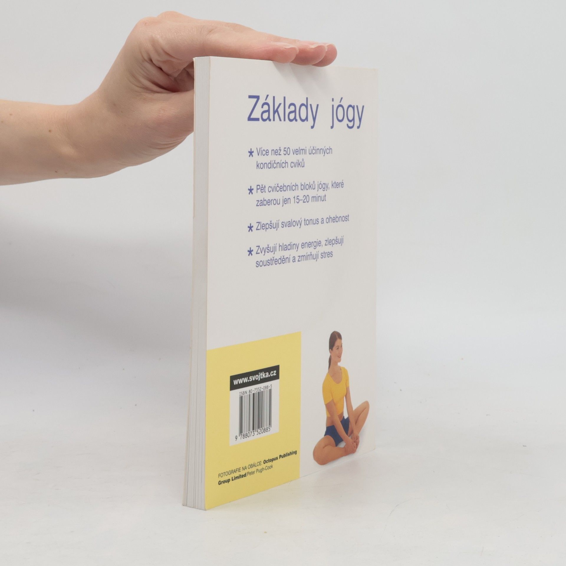 Vimla Lalvani Základy jógy: Protahovací cviky, které posilují, dodávají energii a zbavují stresu
