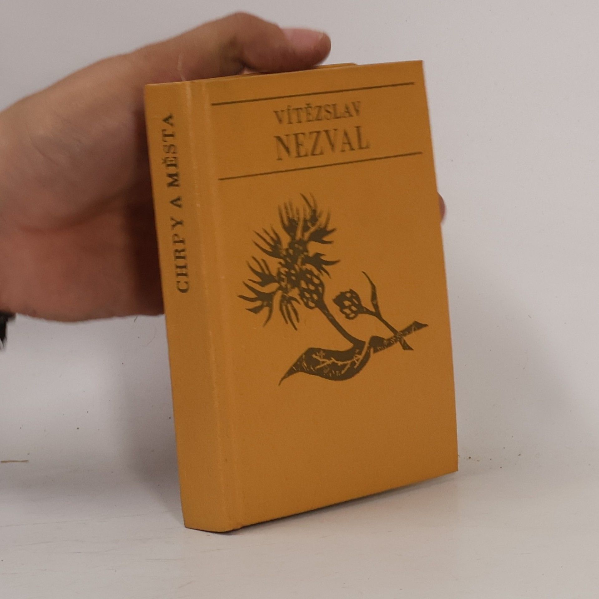 Vítězslav Nezval Chrpy a města