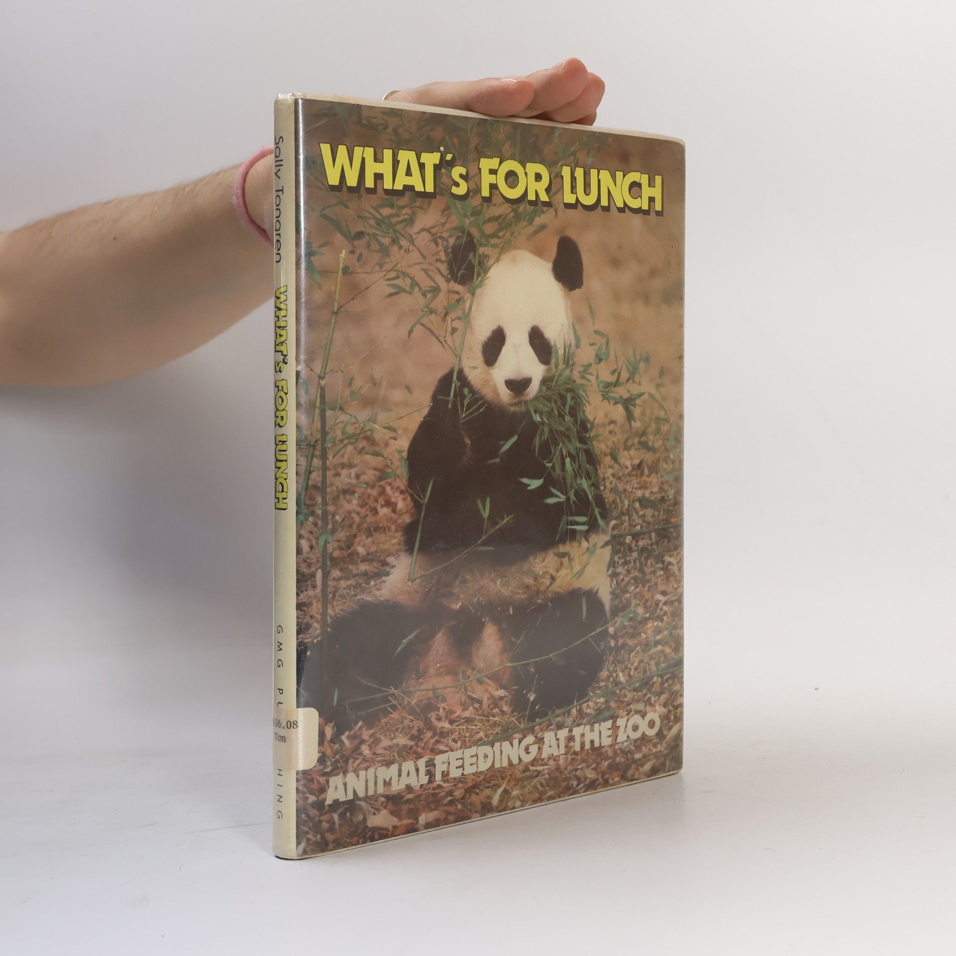 Sally Tongren What's for Lunch