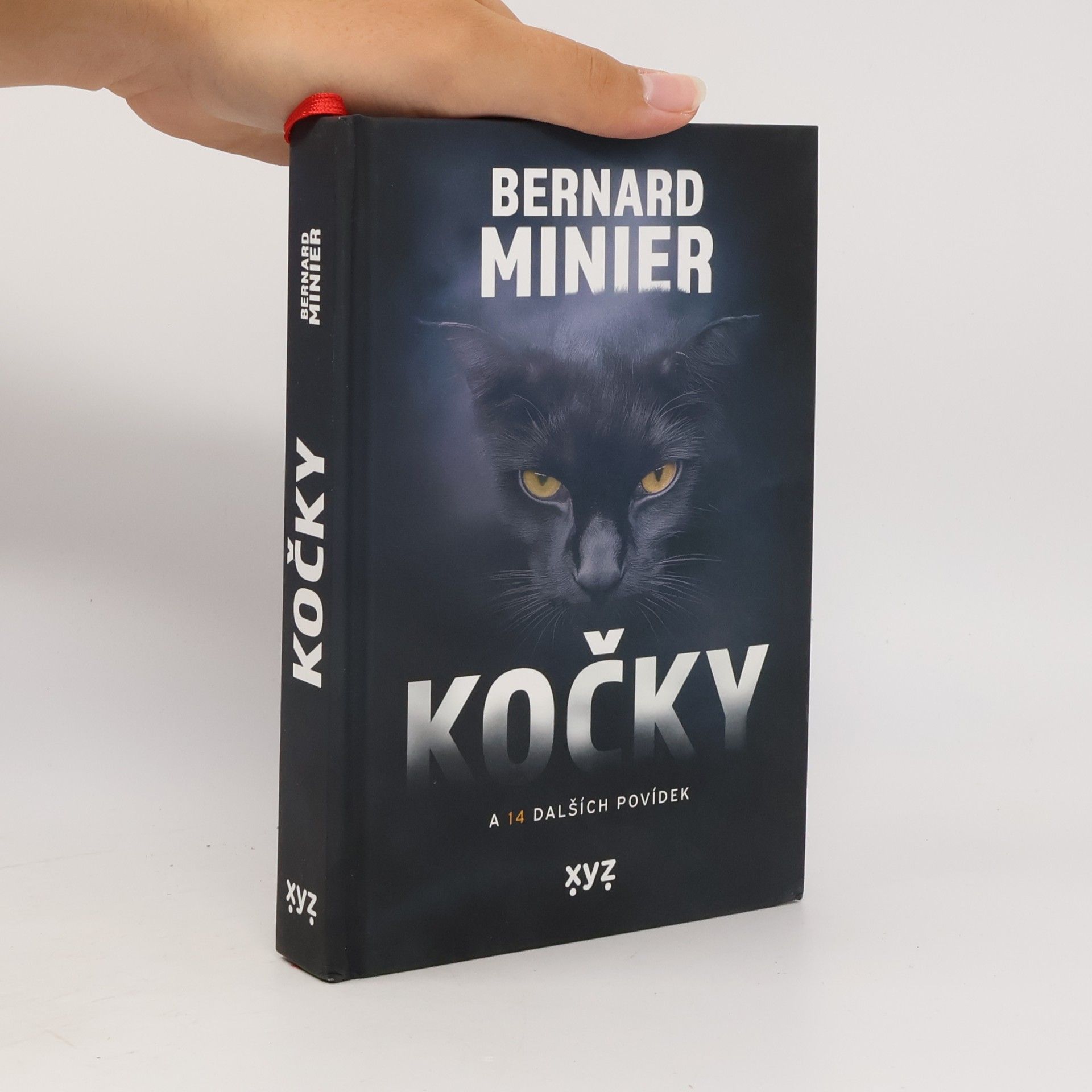 Bernard Minier Kočky