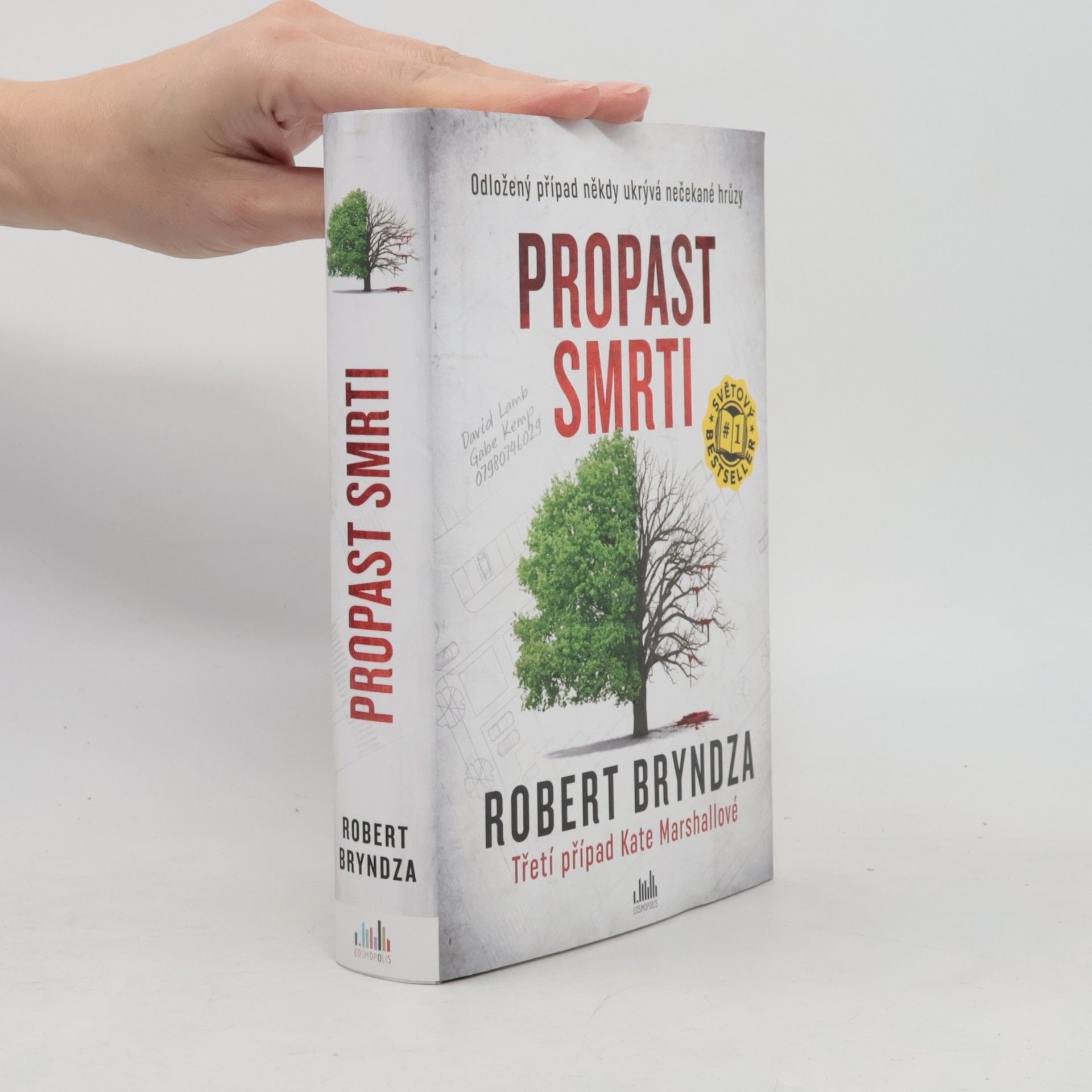 Robert Bryndza Propast smrti