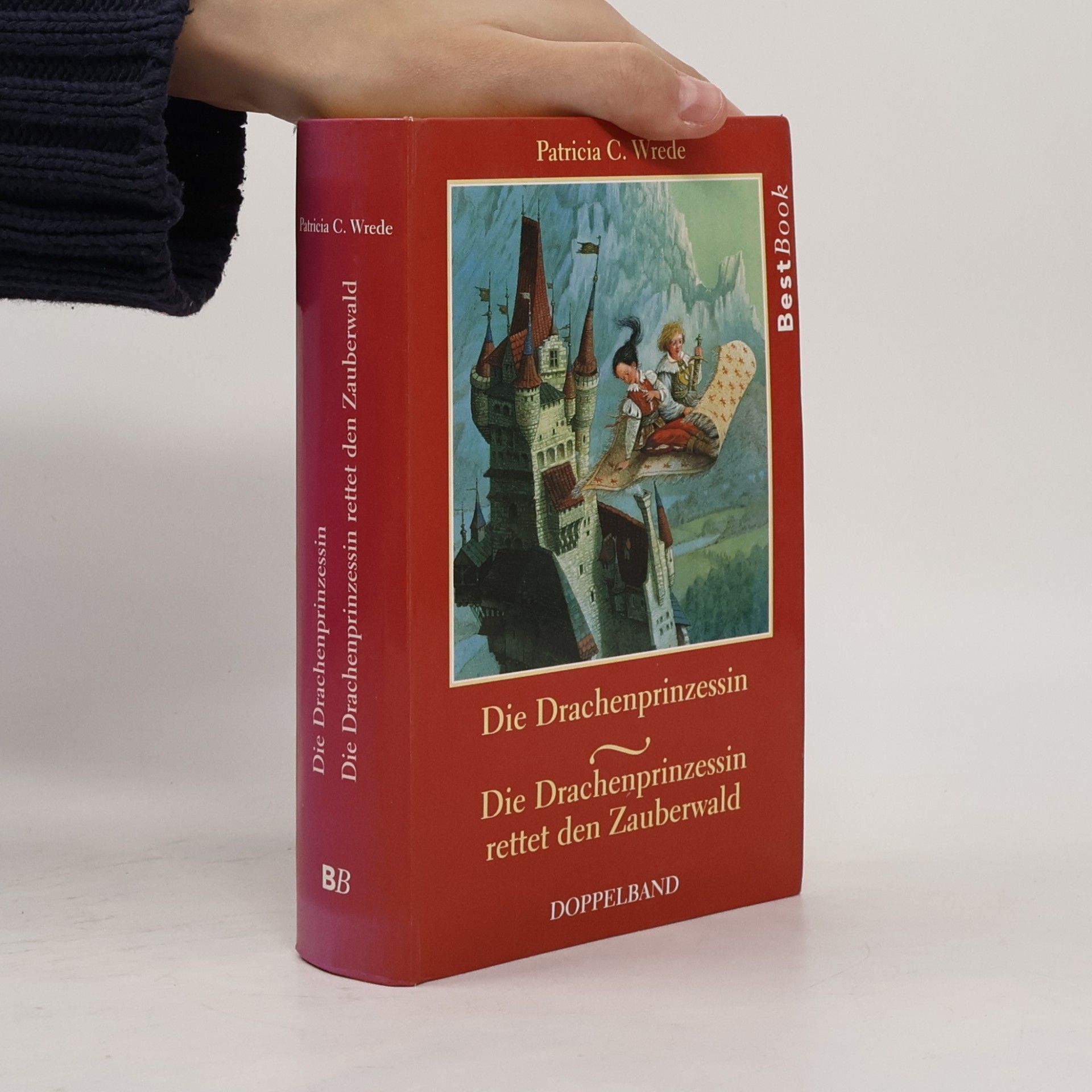 Die Drachenprinzessin. Die Drachenprinzessin rettet den Zauberwald