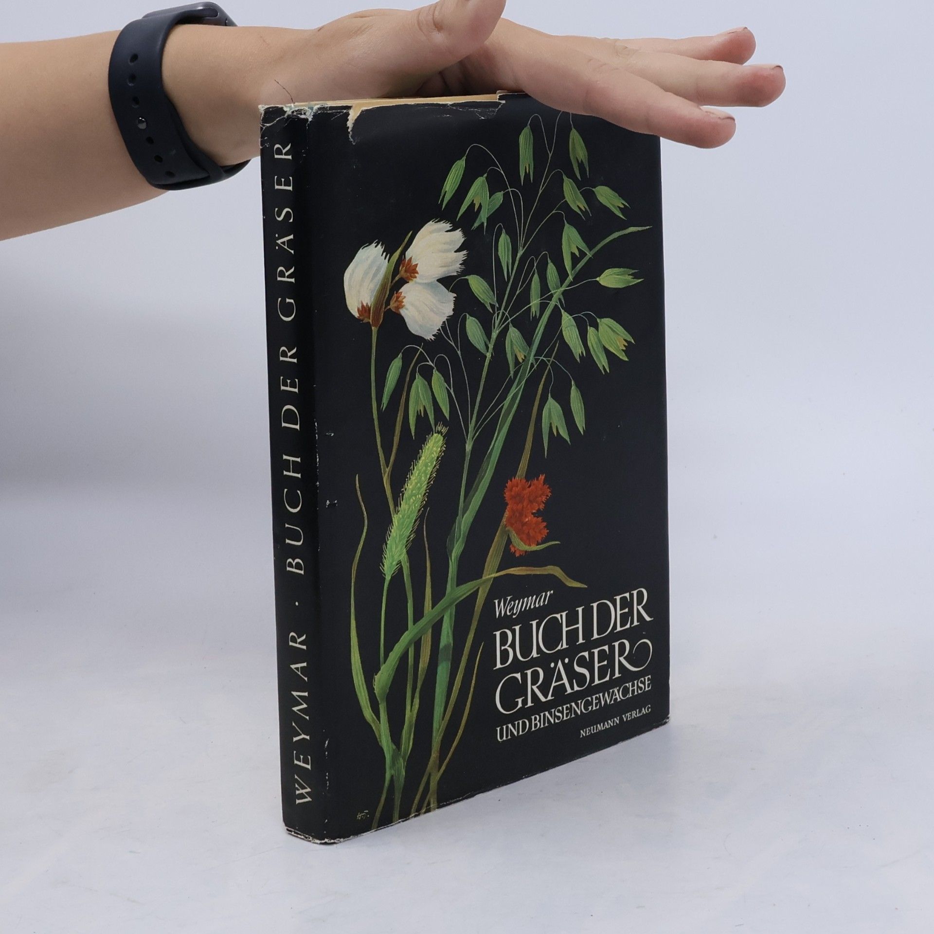 Herbert Weymar Buch der Gräser und Binsengewächse