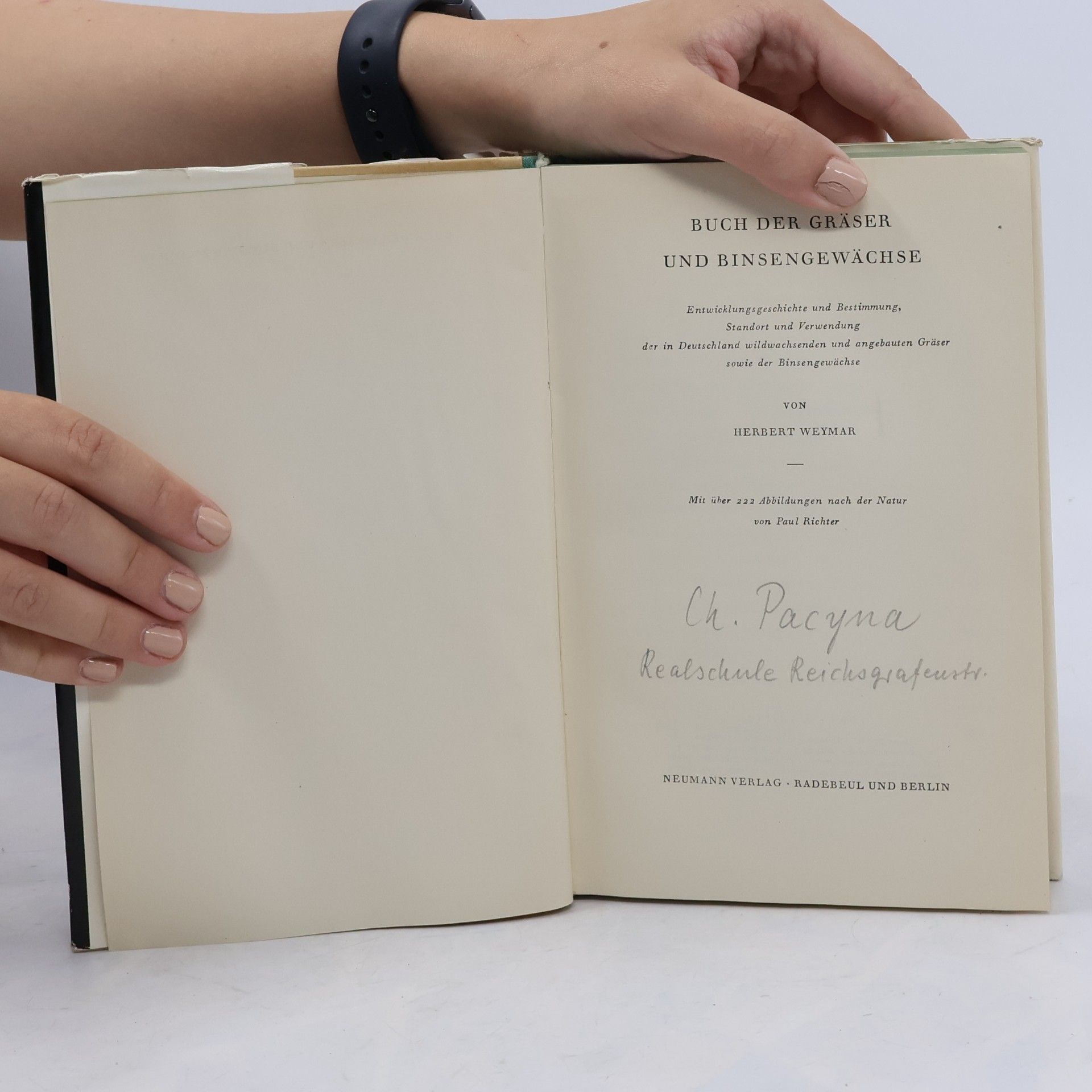 Herbert Weymar Buch der Gräser und Binsengewächse