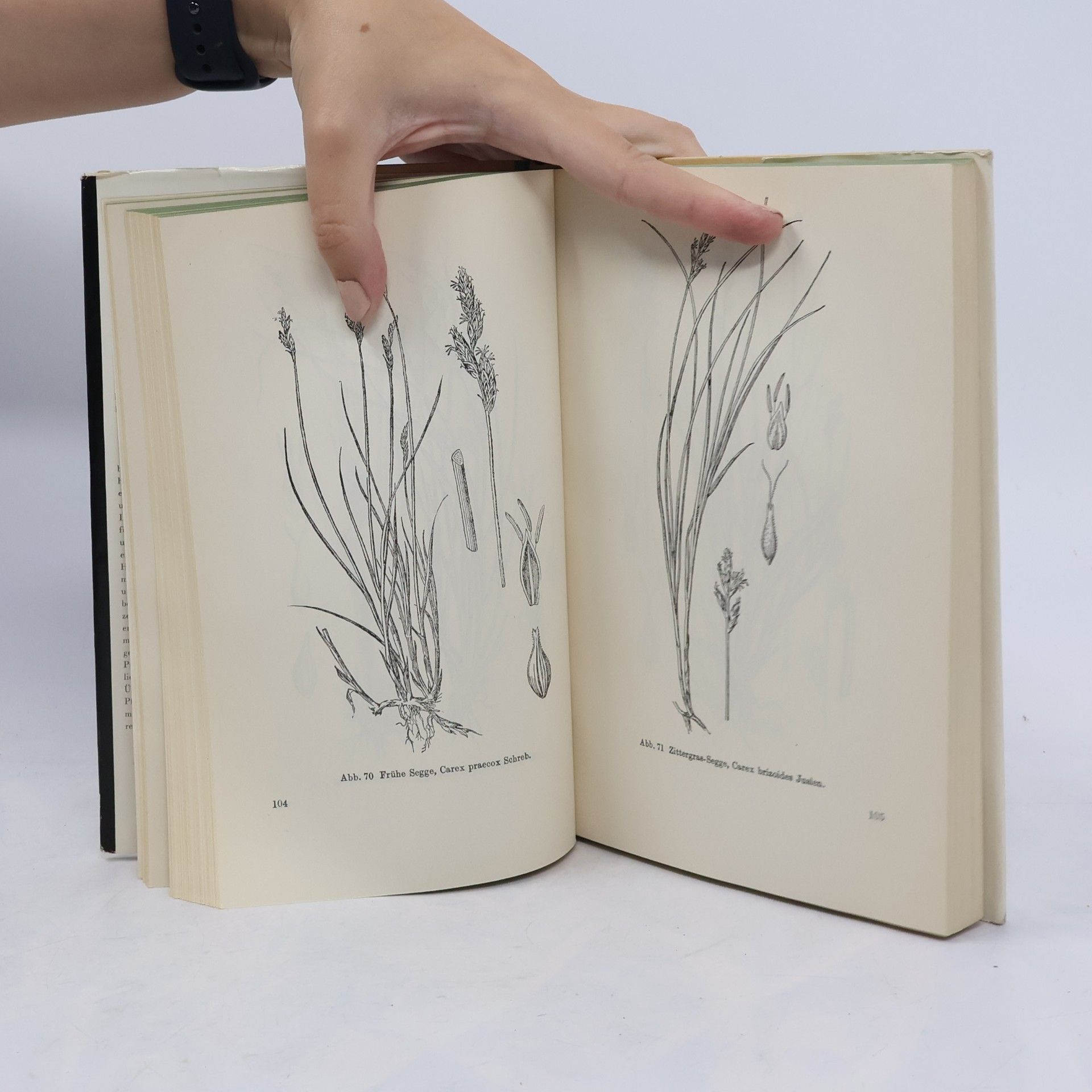 Herbert Weymar Buch der Gräser und Binsengewächse