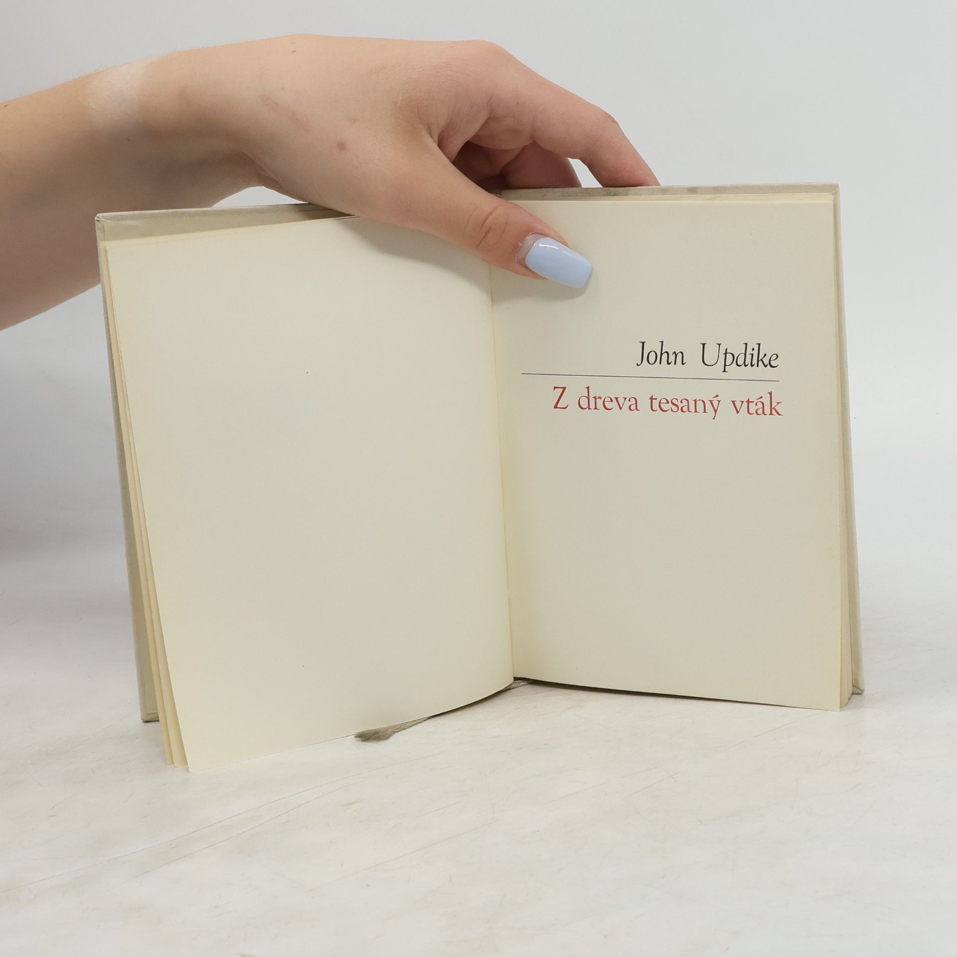 John Updike Z dreva tesaný vták