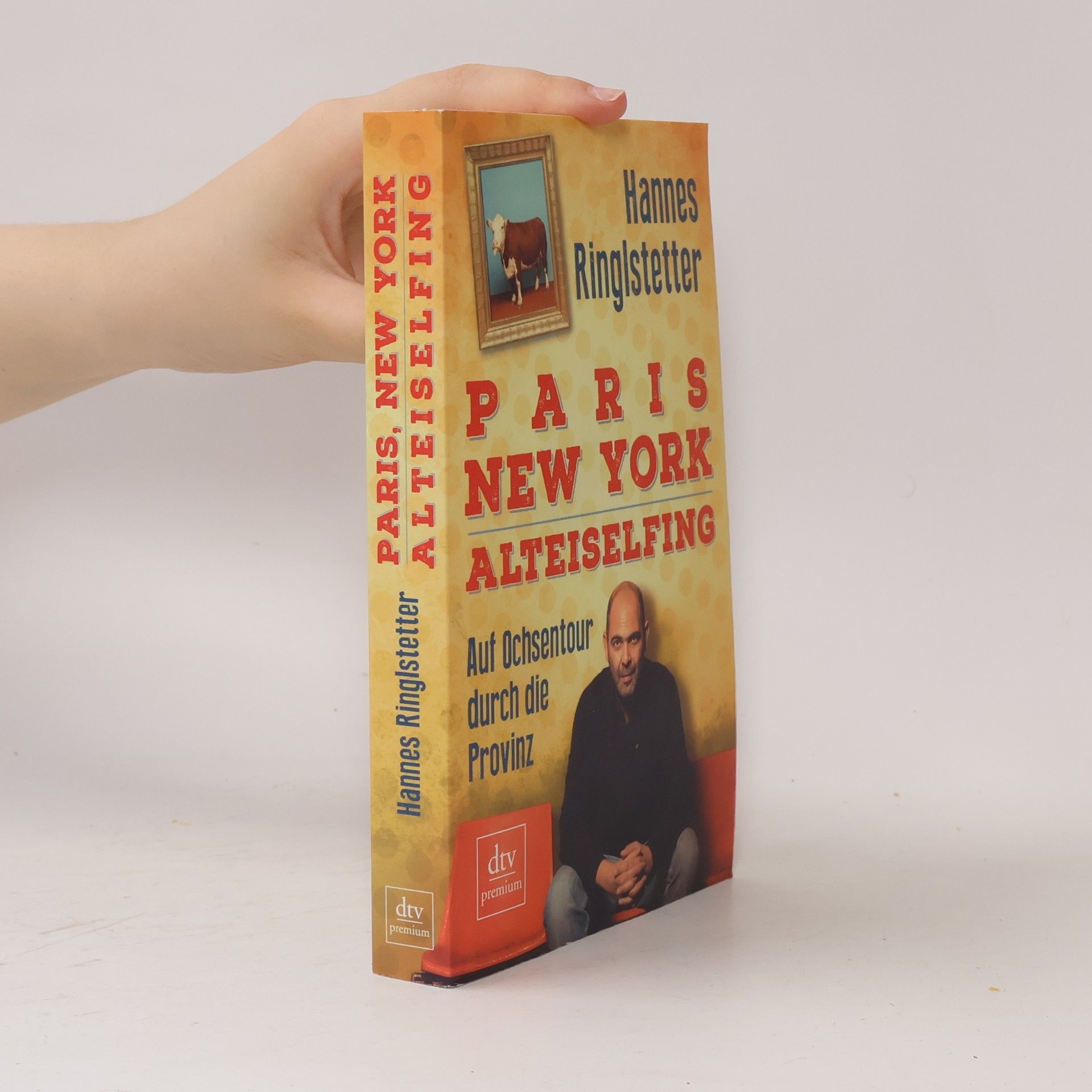 Hannes Ringlstetter Paris, New York - Alteiselfing