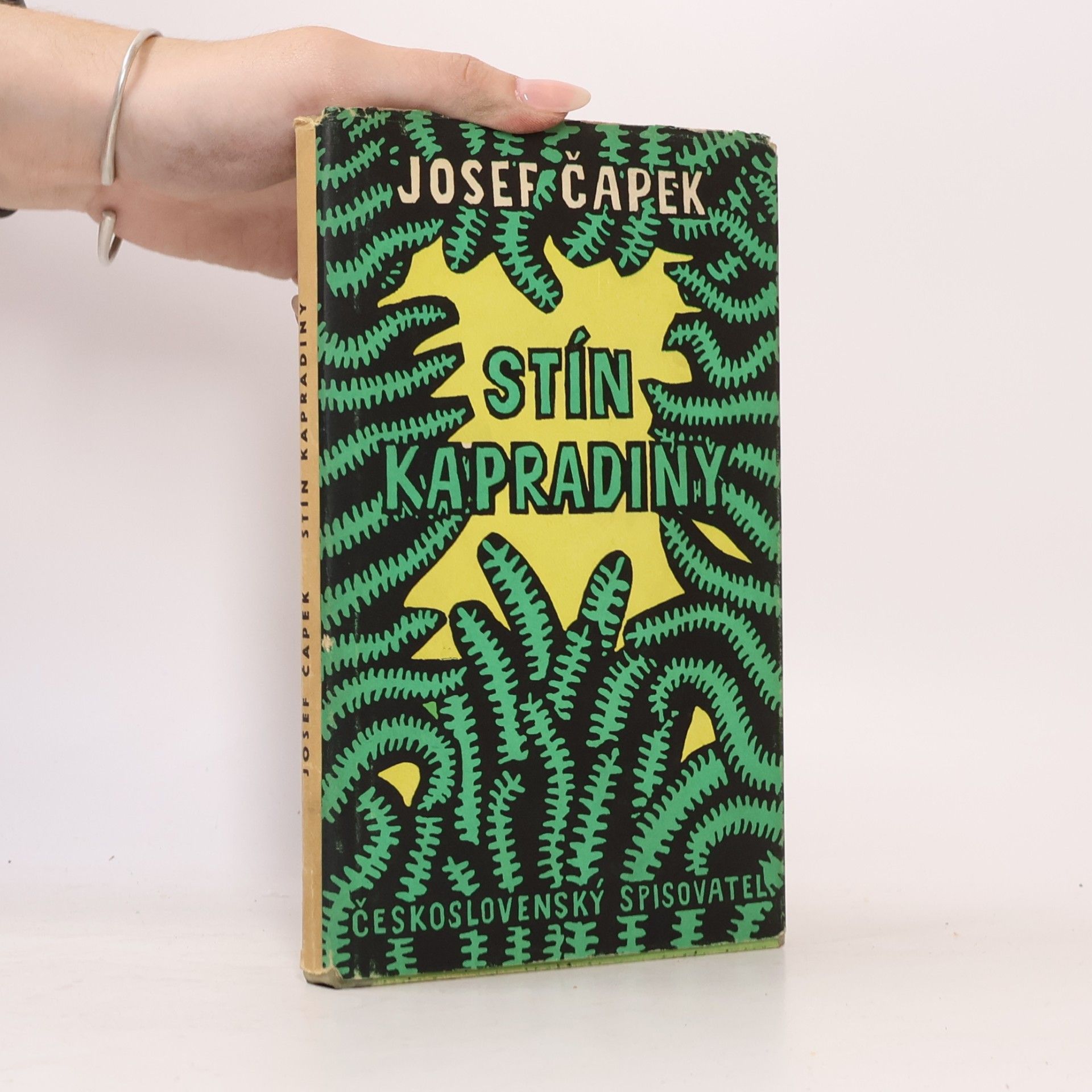 Josef Čapek Stín kapradin