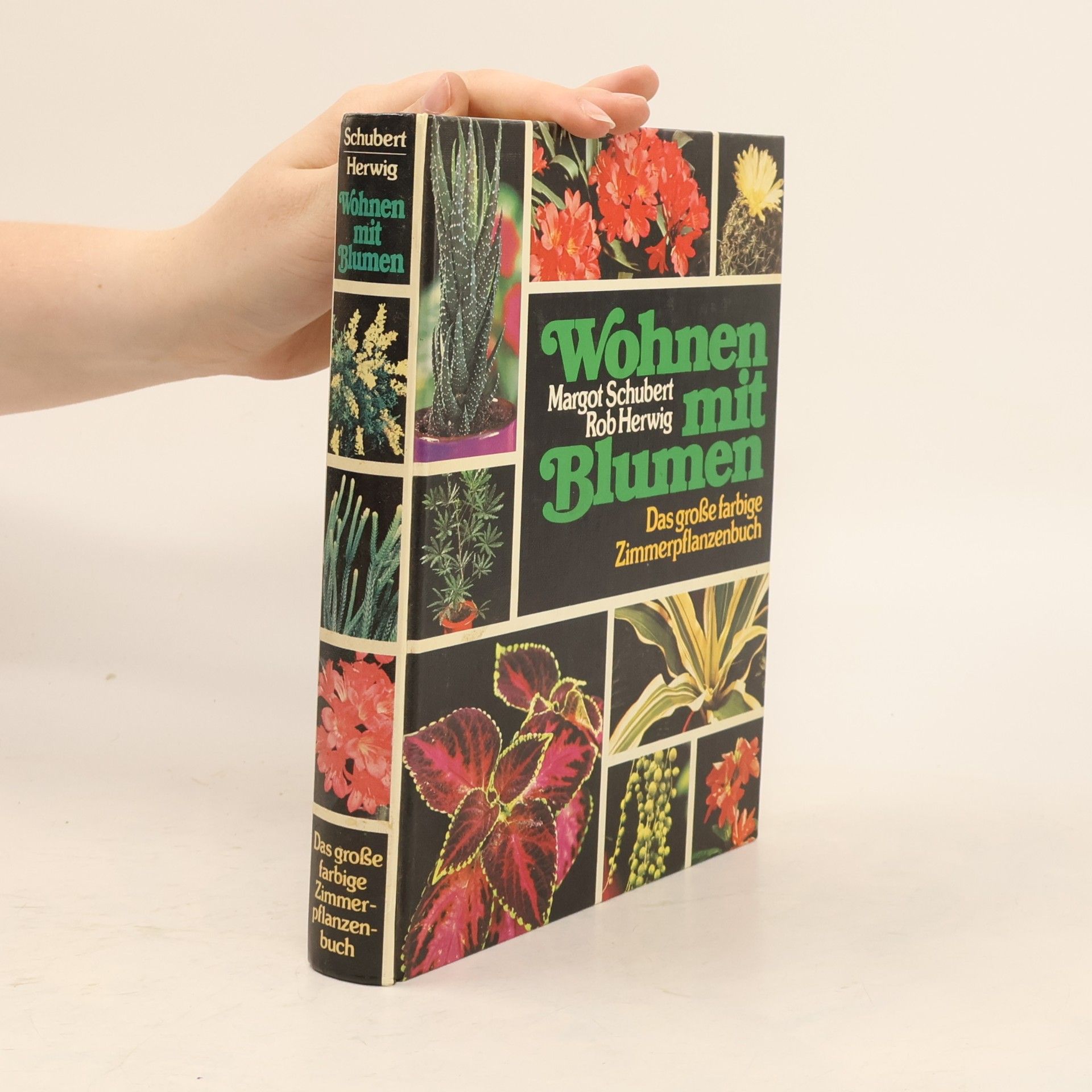 Margot Schubert Wohnen mit Blumen
