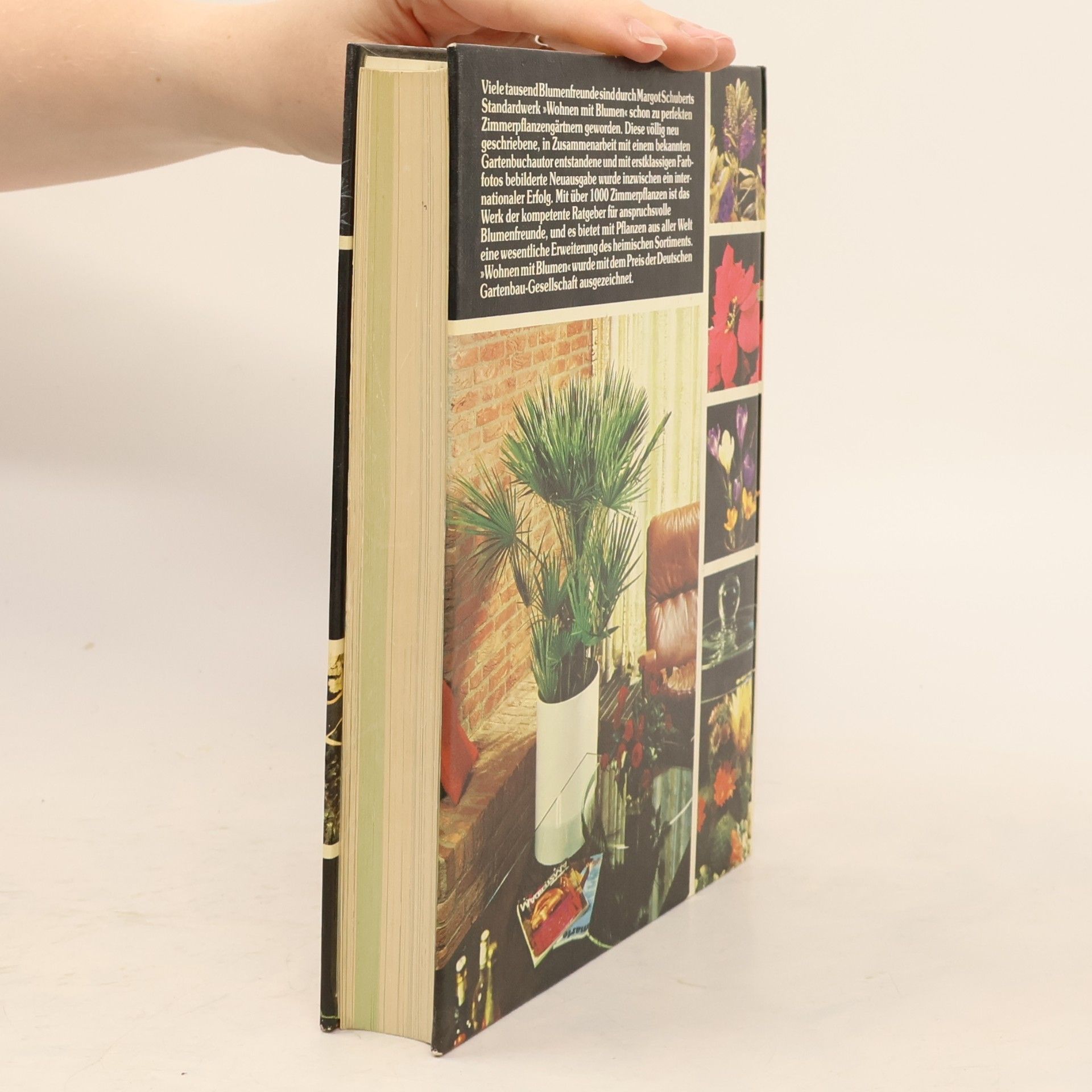 Margot Schubert Wohnen mit Blumen
