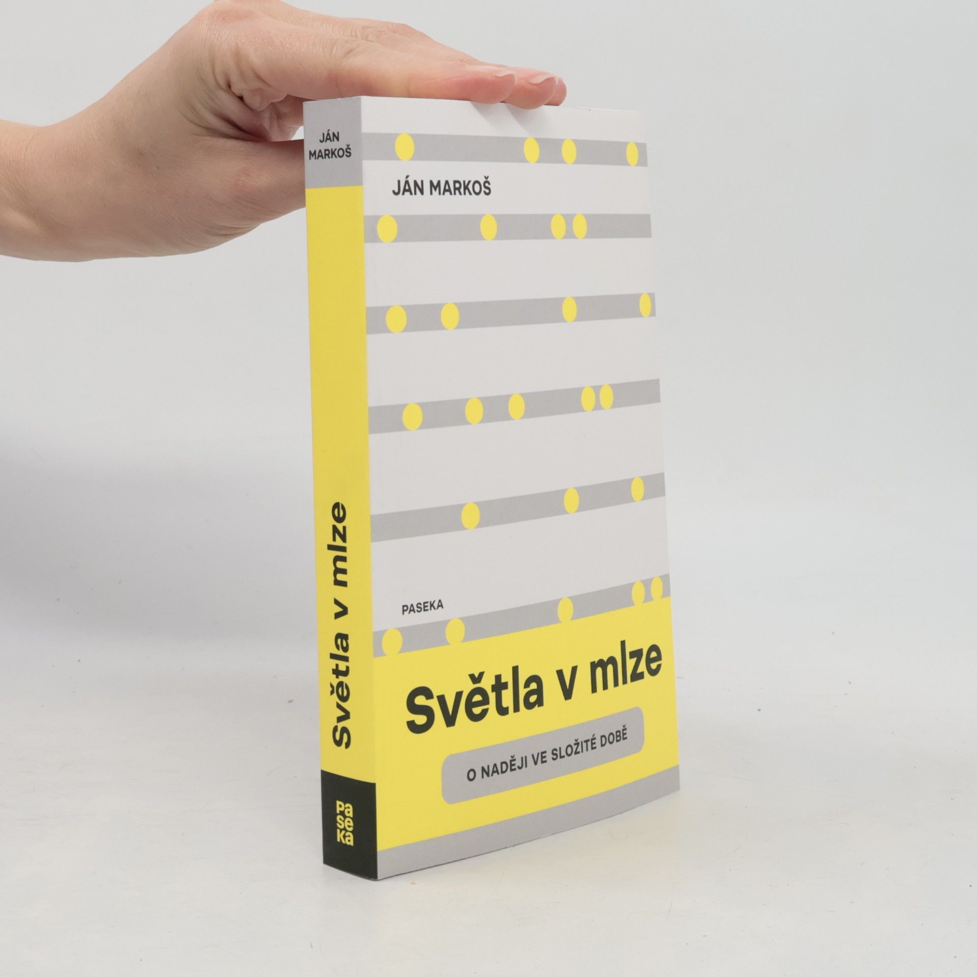 Miroslav Hlaučo Světla v mlze