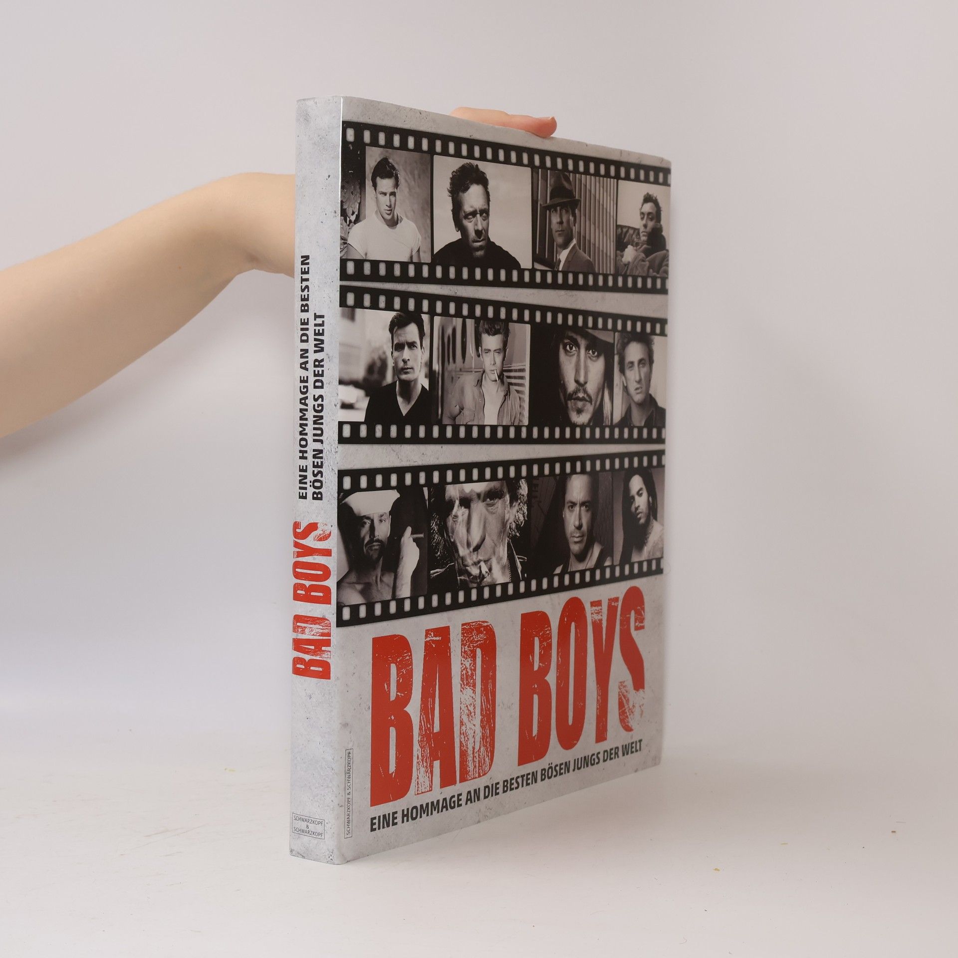 Birgit Krols Bad Boys