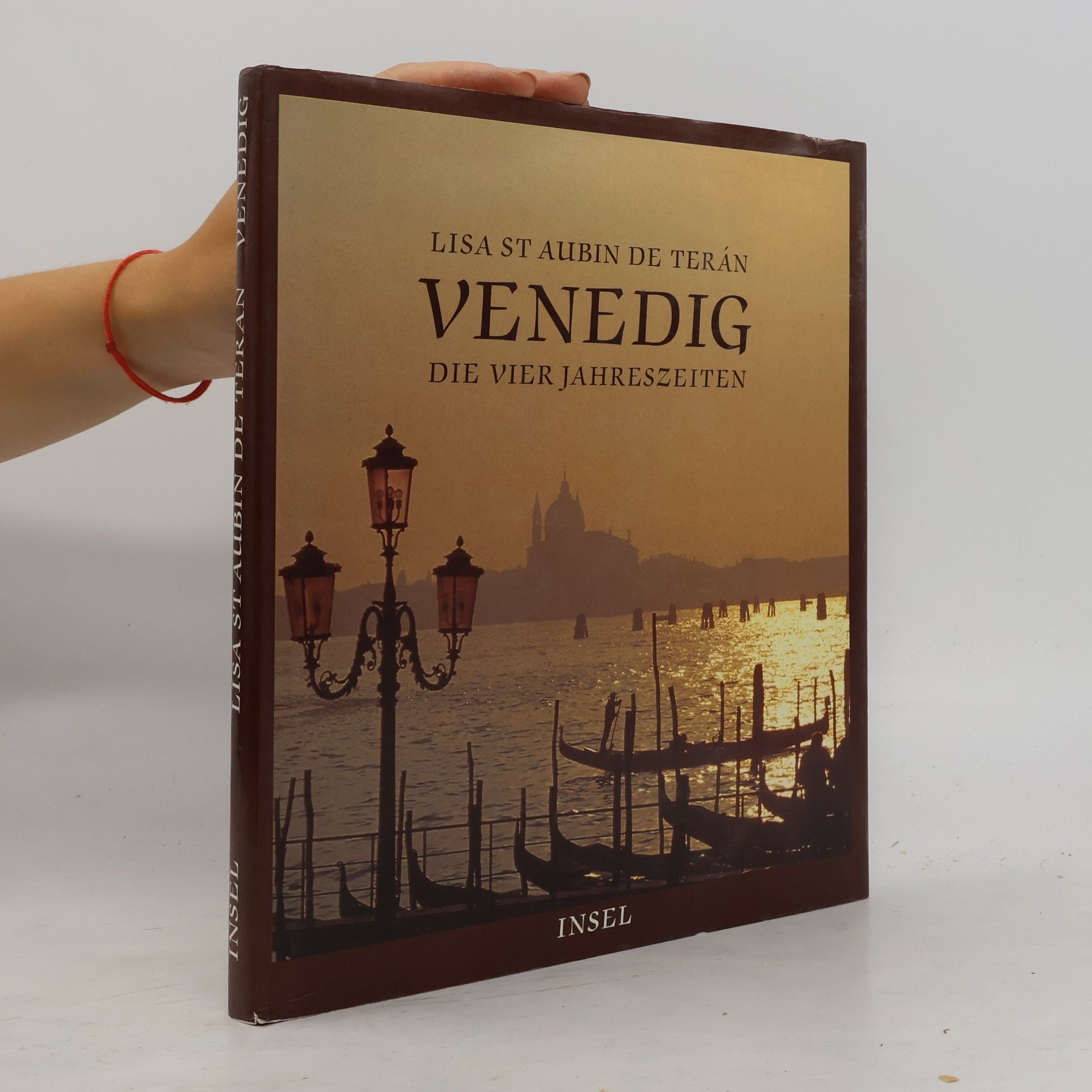 Lisa St. Aubin de Terán Venedig