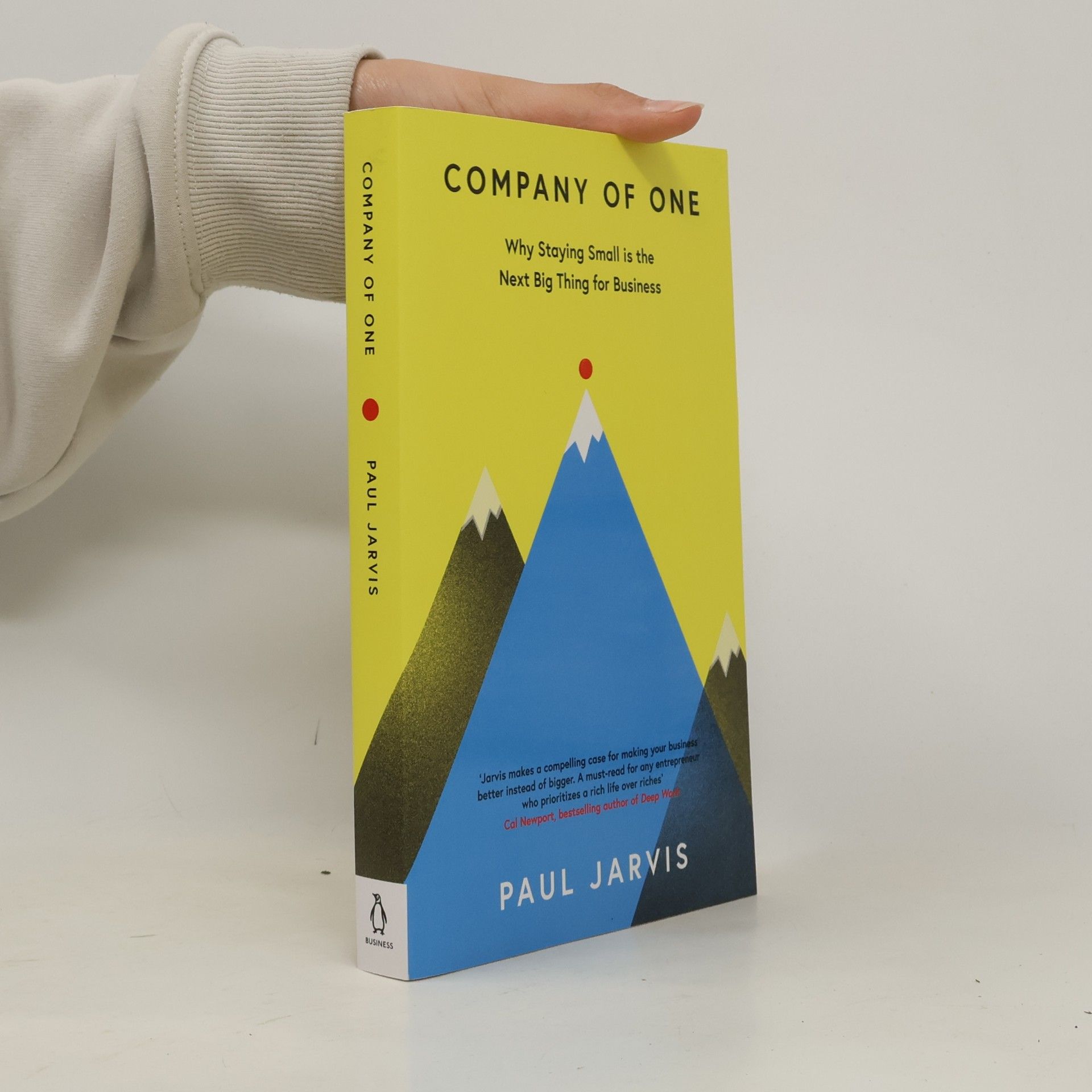 Paul Jarvis Company of One