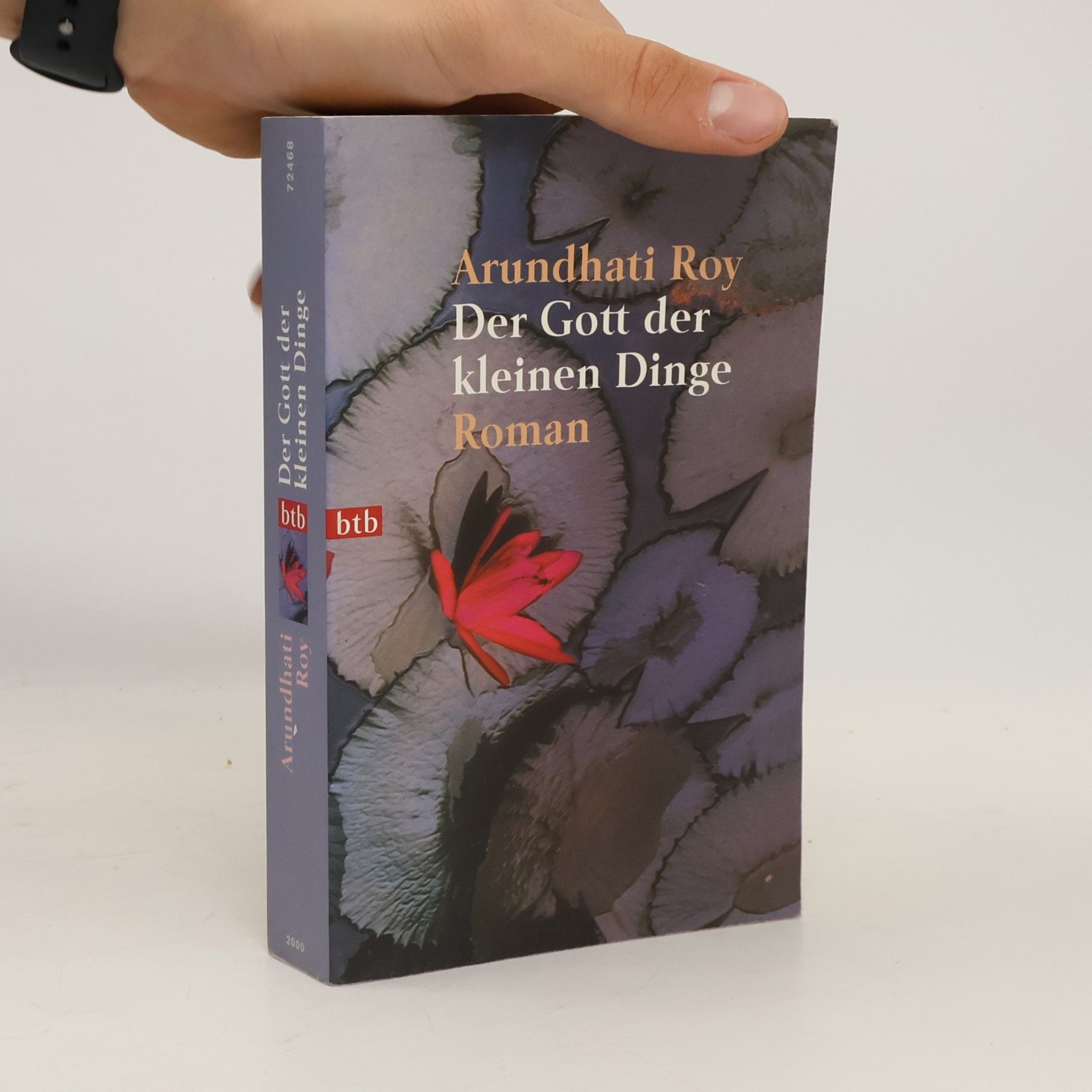 Arundhati Roy Der Gott der kleinen Dinge