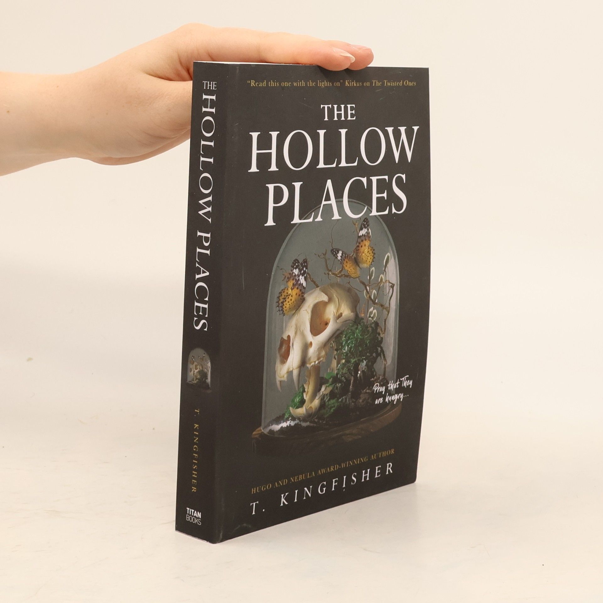 T. Kingfisher The Hollow Places