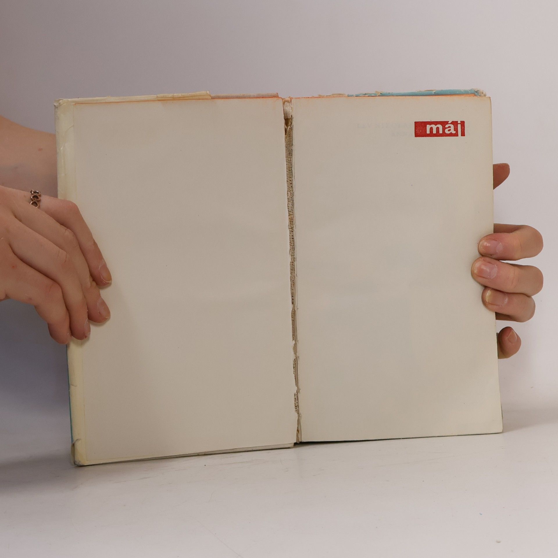 Lew Nikolajewitsch Tolstoi Anna Kareninová