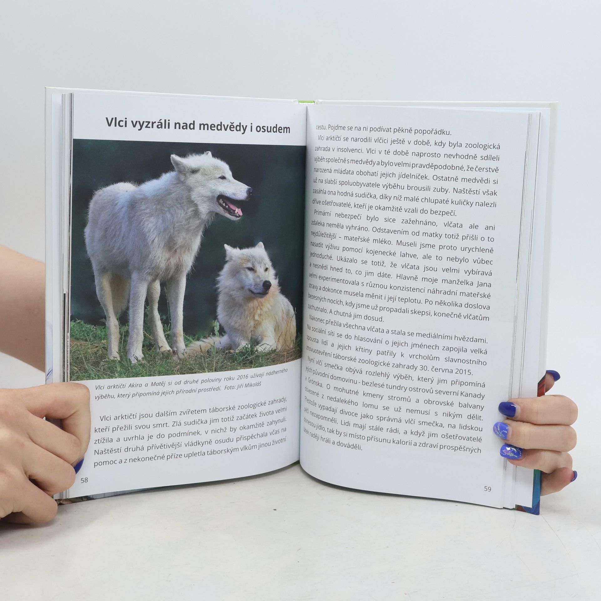 Evzen Korec Jak jsem zachránil ZOO v Táboře