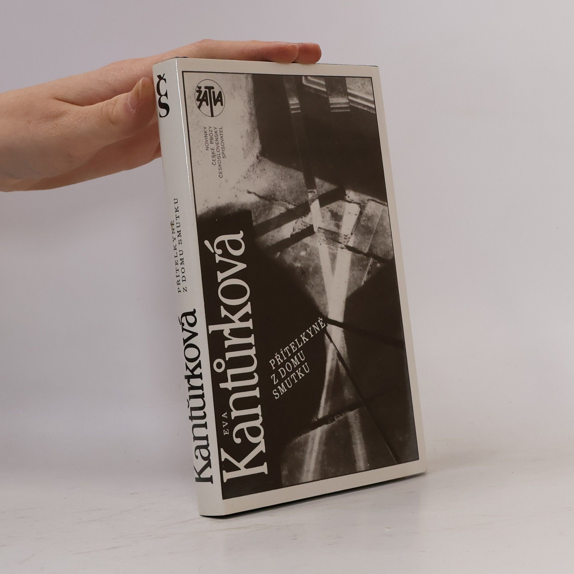Eva Kantůrková Přítelkyně z domu smutku