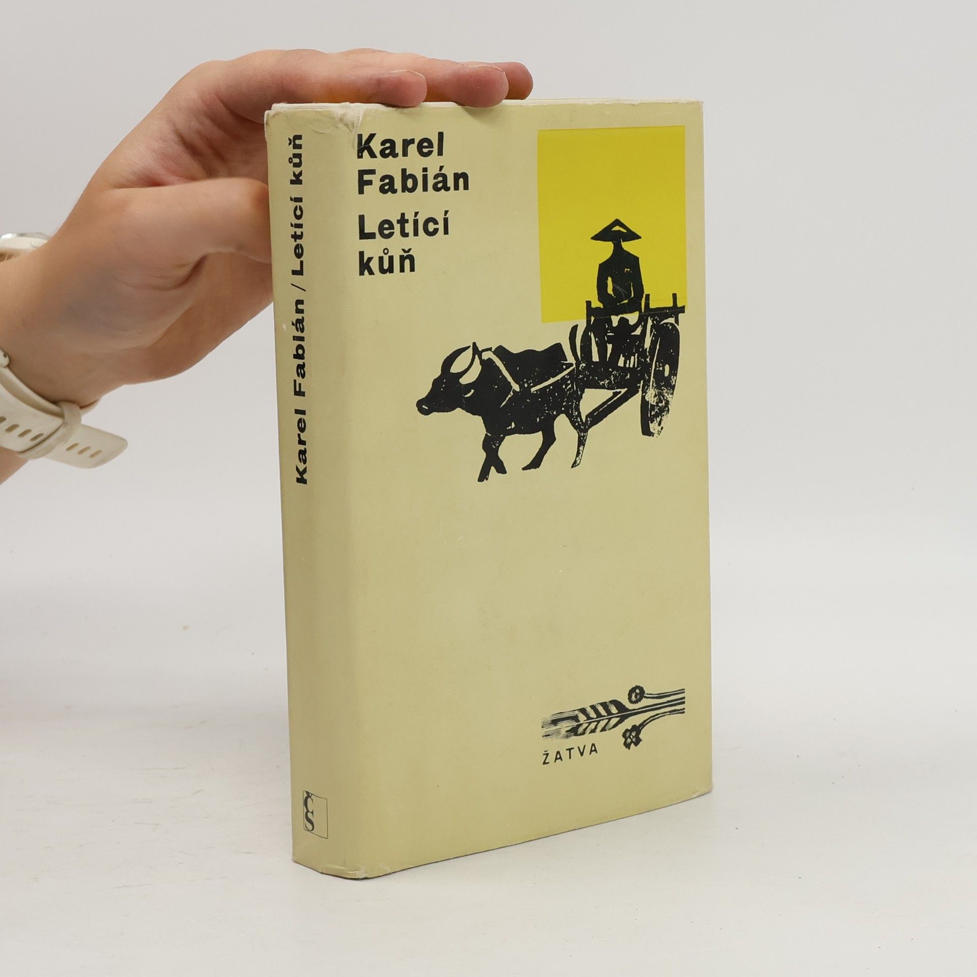 Karel Fabián Letící kůň