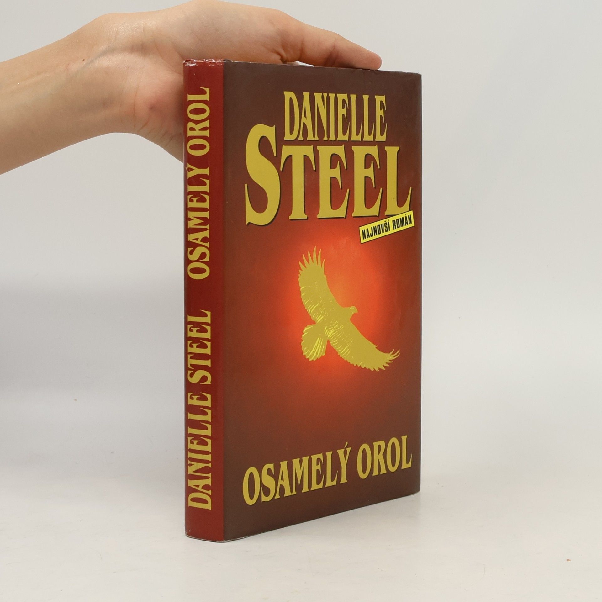 Danielle Steel Osamelý orol