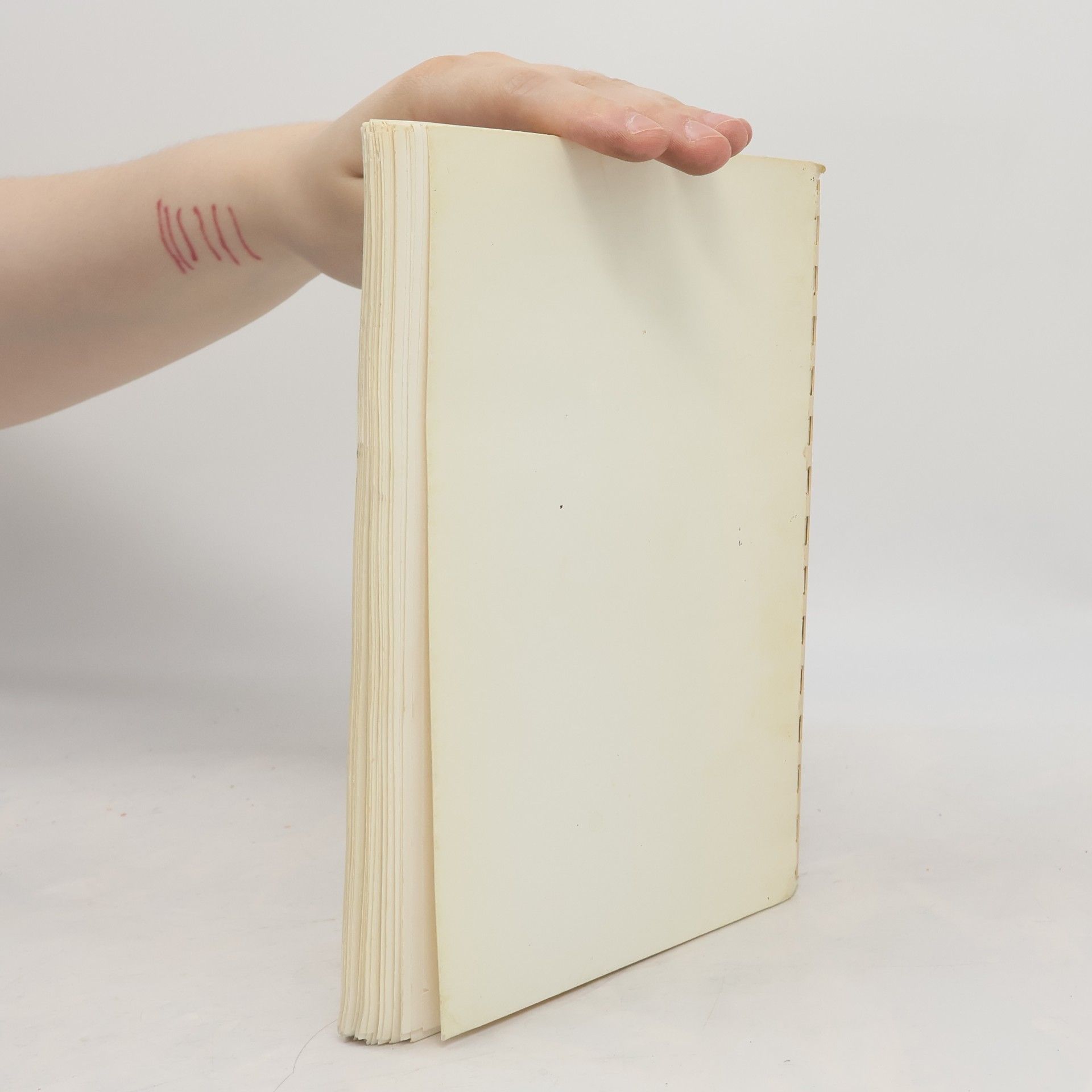 Various authors Koch-Rezeptbüchlein gemäss den Küchen-geheimnissen der hl. Hildegard von Büngen