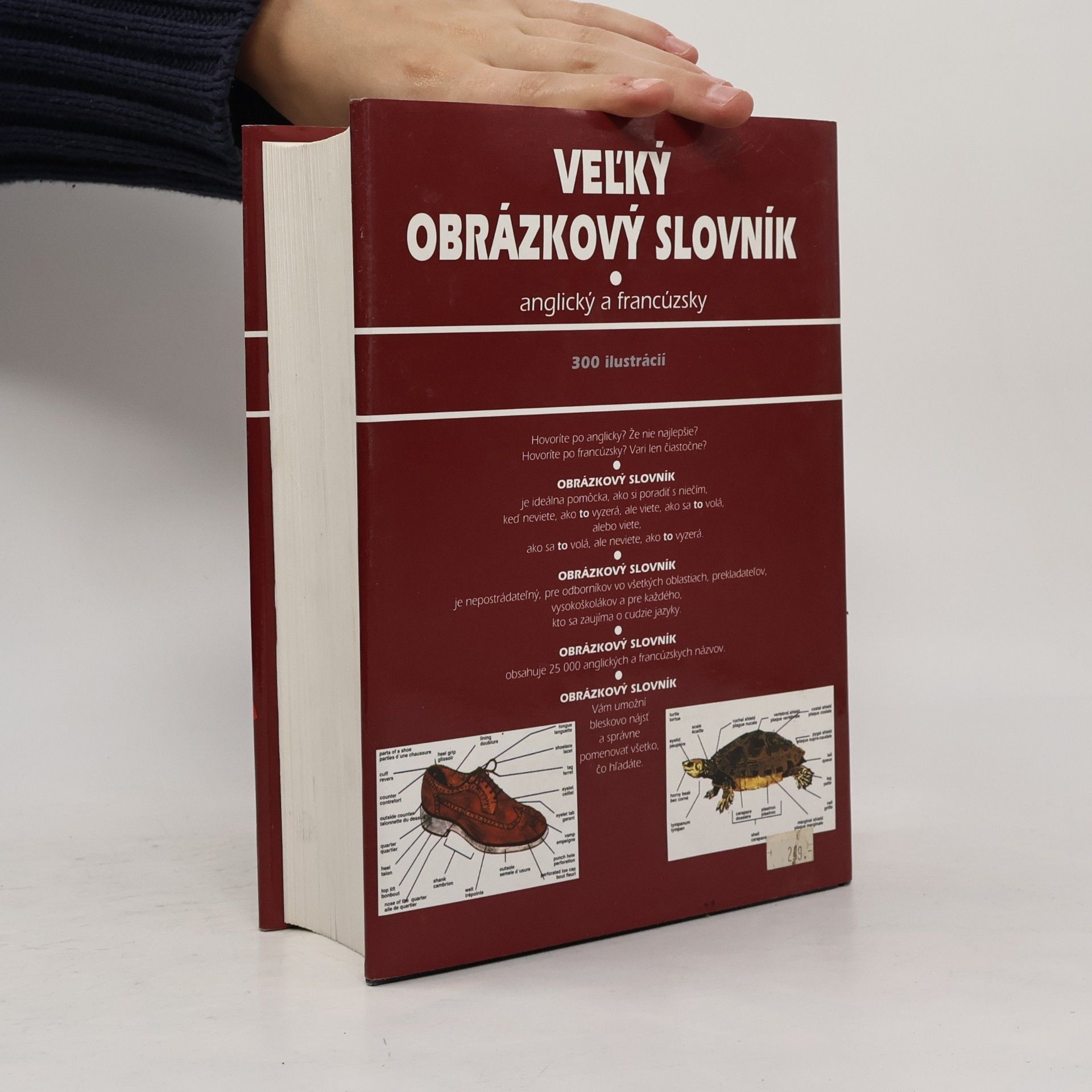 Jean-Claude Corbeil Velký obrázkový slovník: Anglický a francouzský