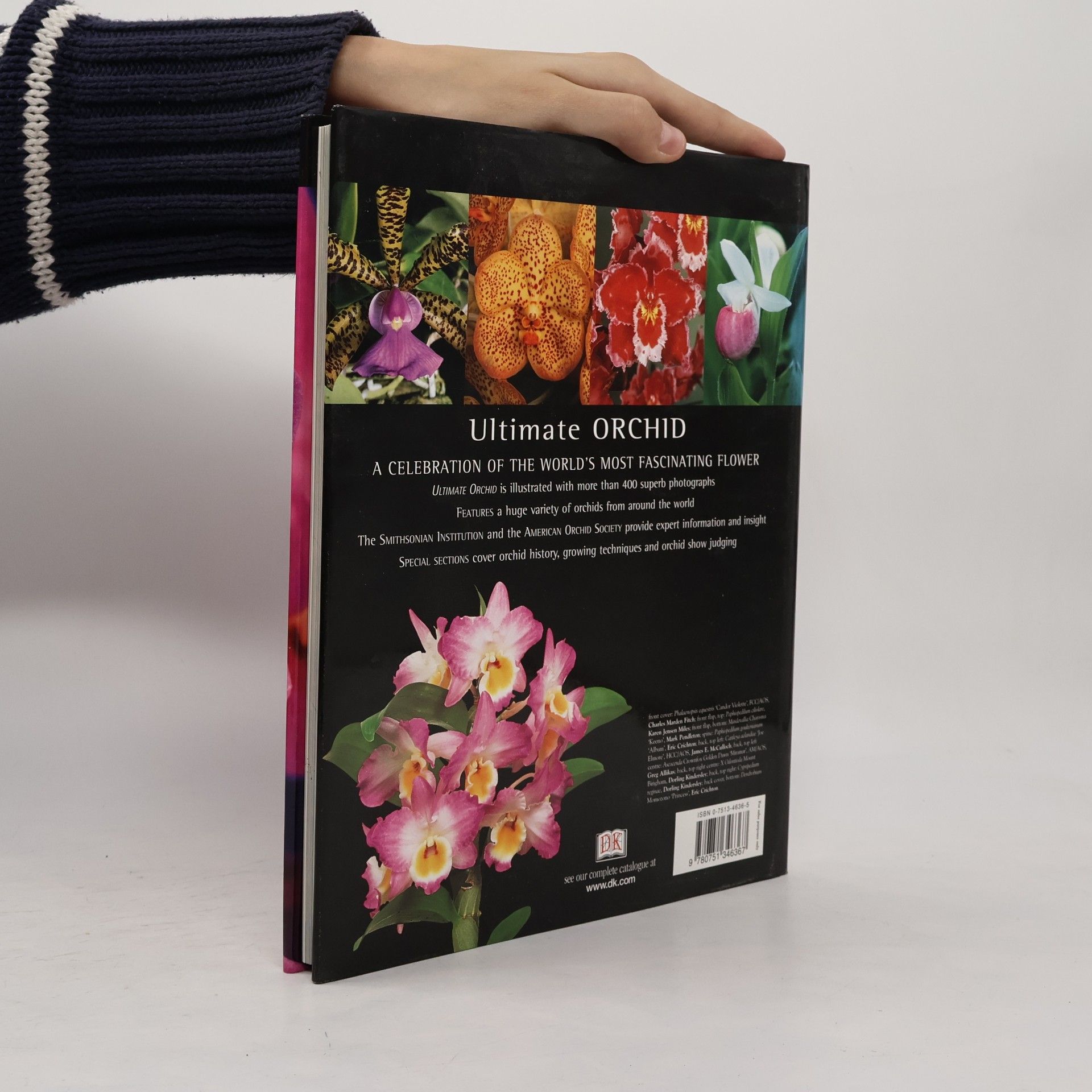Thomas J. Sheehan Ultimate Orchid