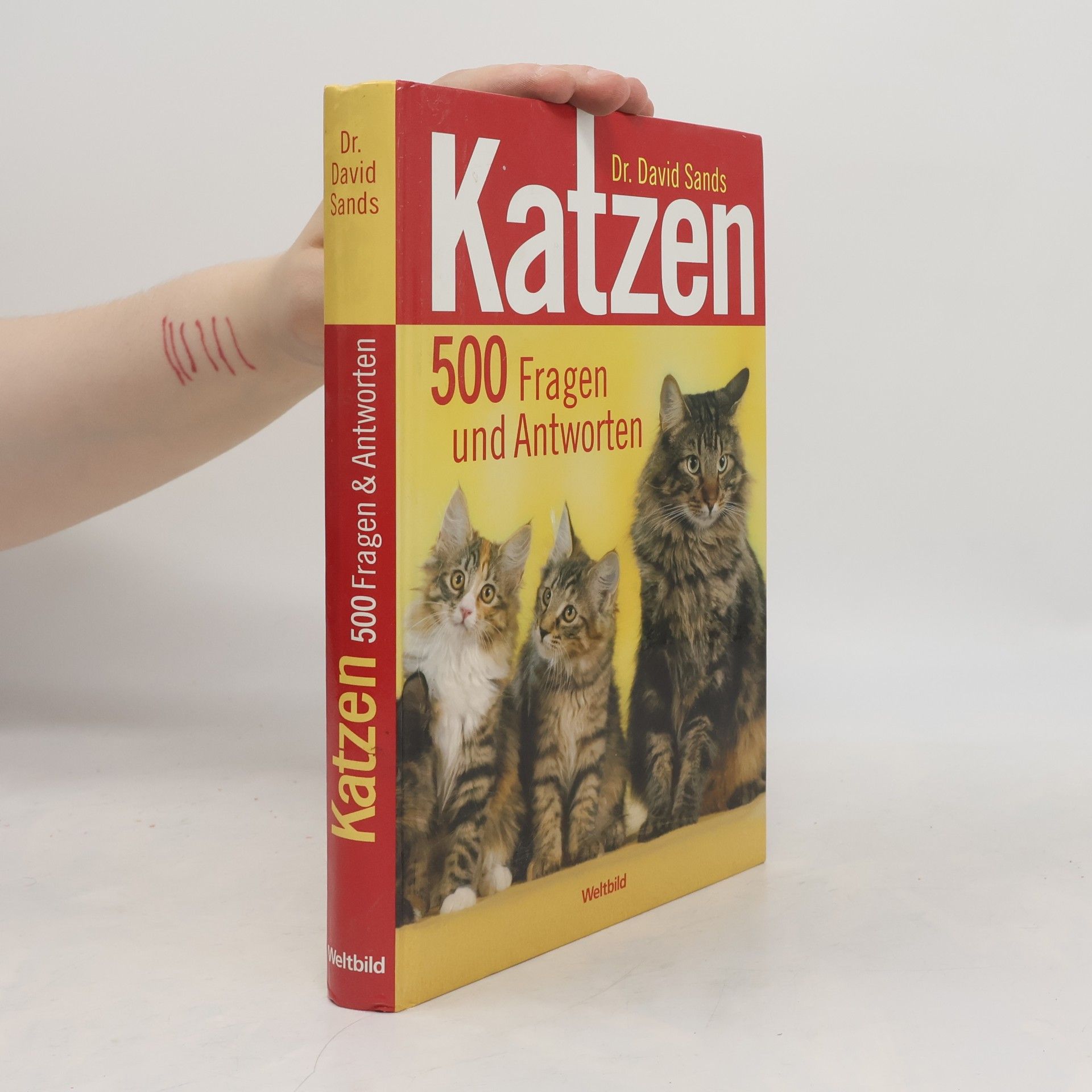 David Sands Katzen