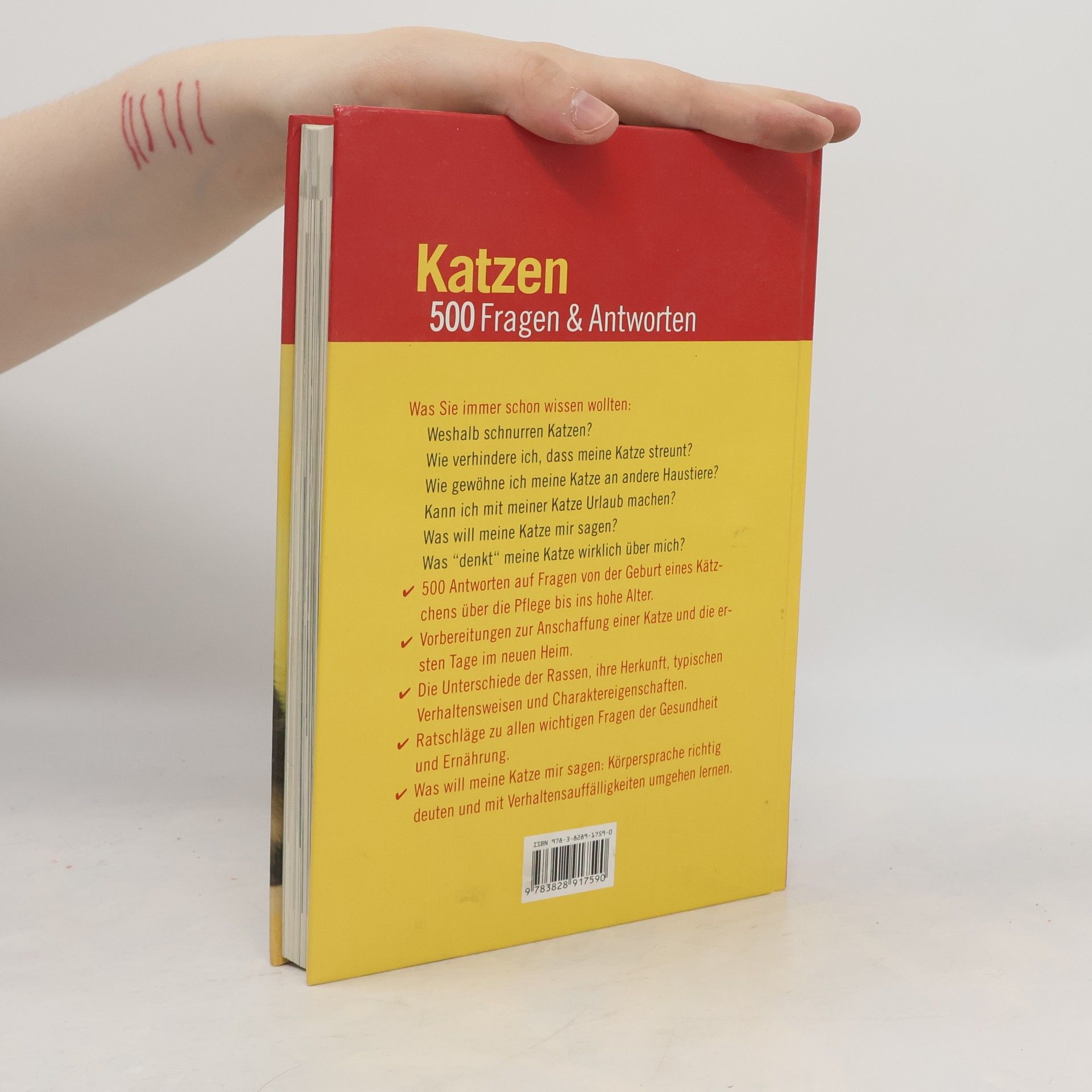 David Sands Katzen