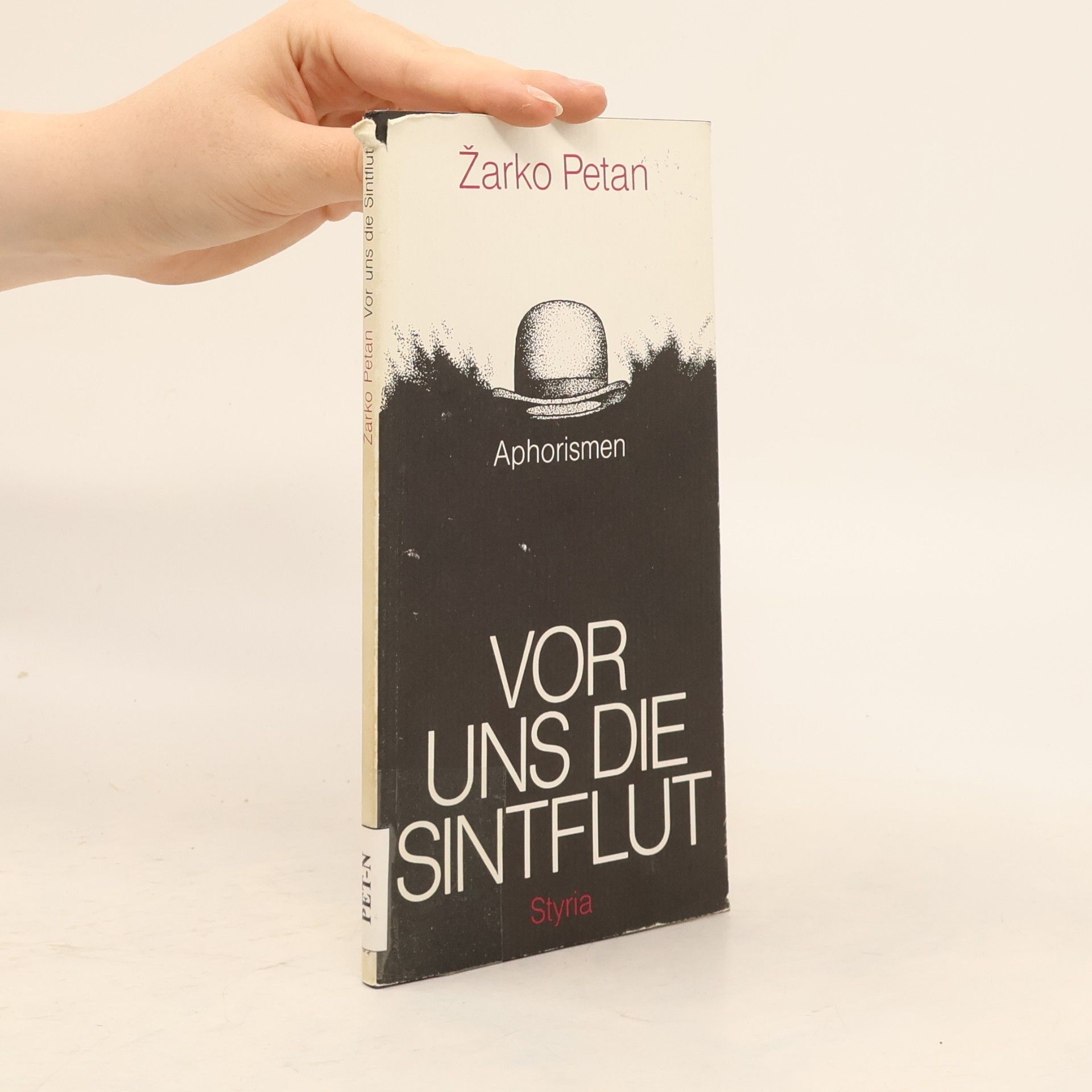 Vor uns die Sintflut