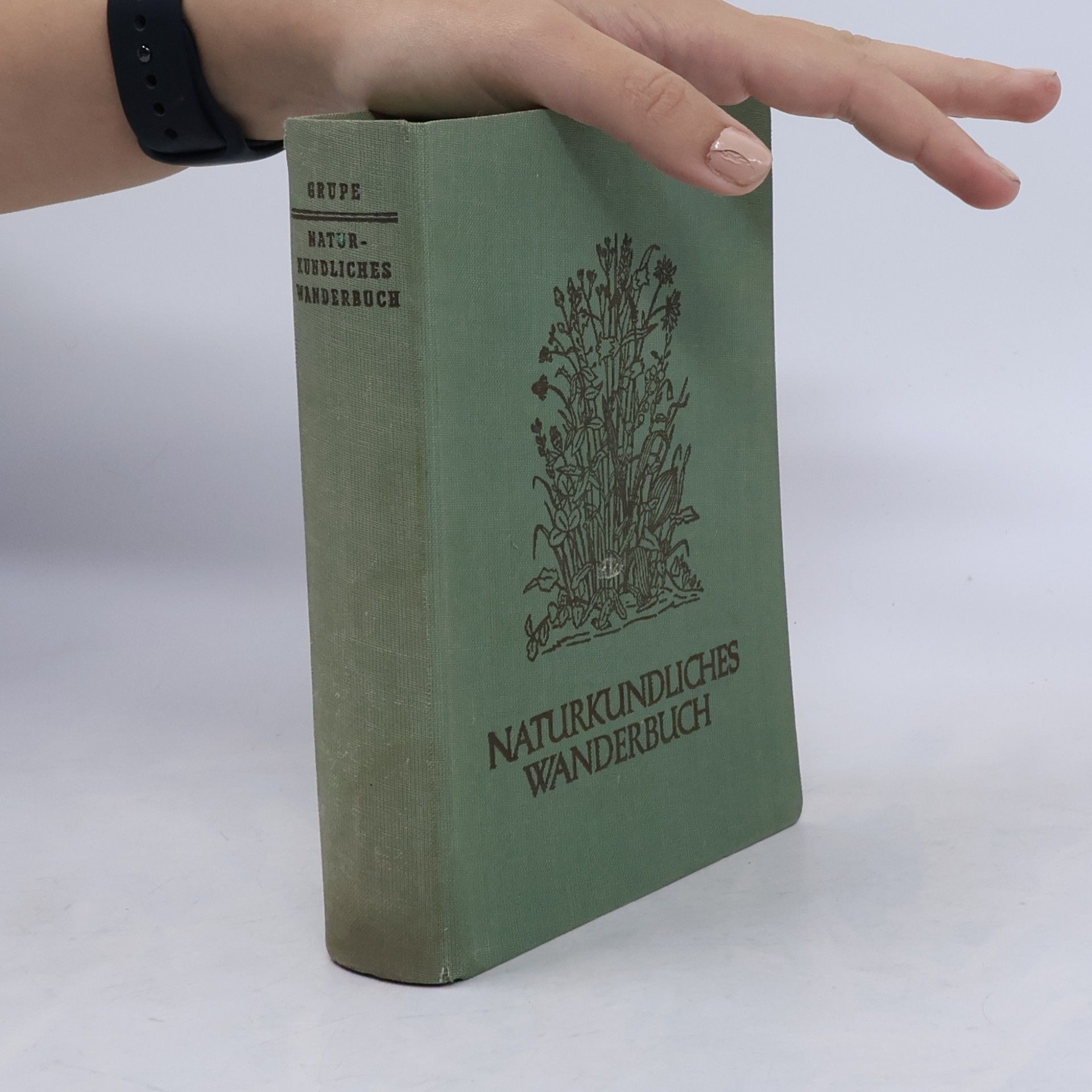 Heinrich Grupe Naturkundliches Wanderbuch
