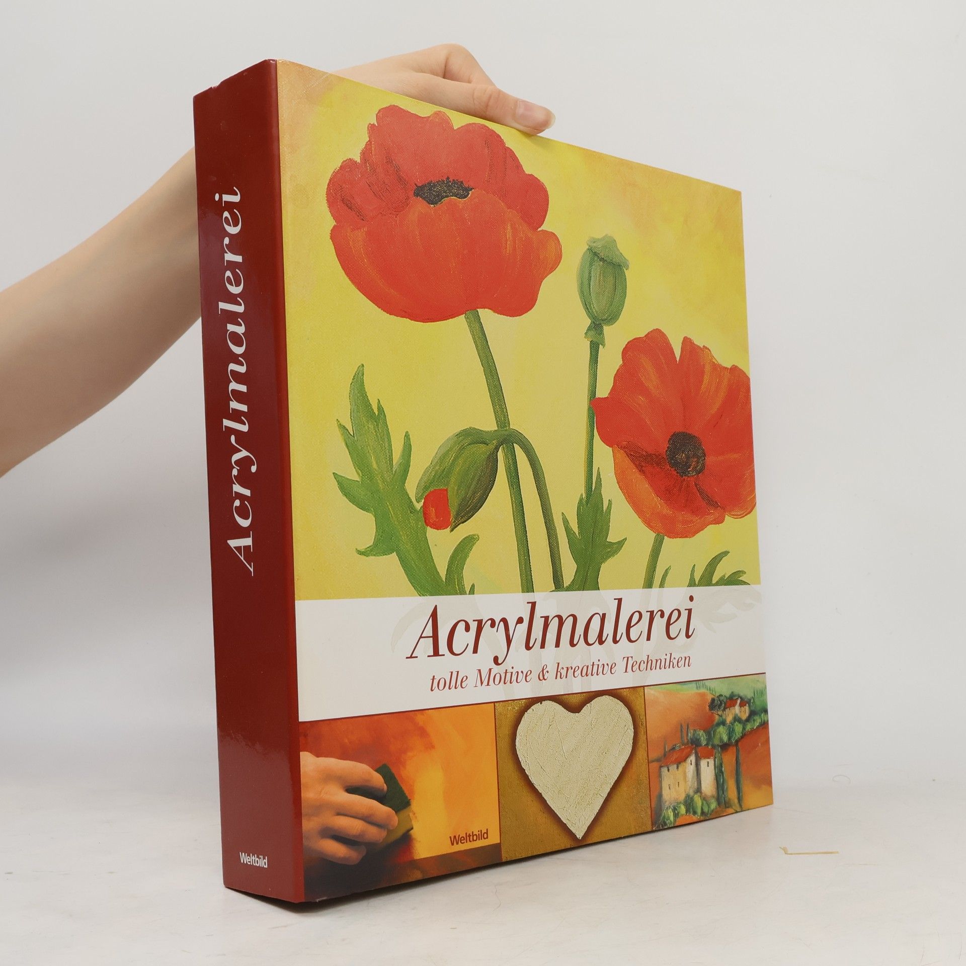 Collectif d'auteurs Acrylmalerei tolle Motive & kreative Techniken