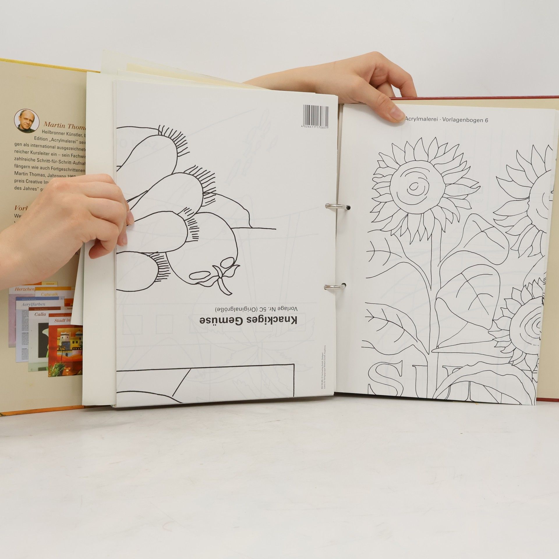 Collectif d'auteurs Acrylmalerei tolle Motive & kreative Techniken