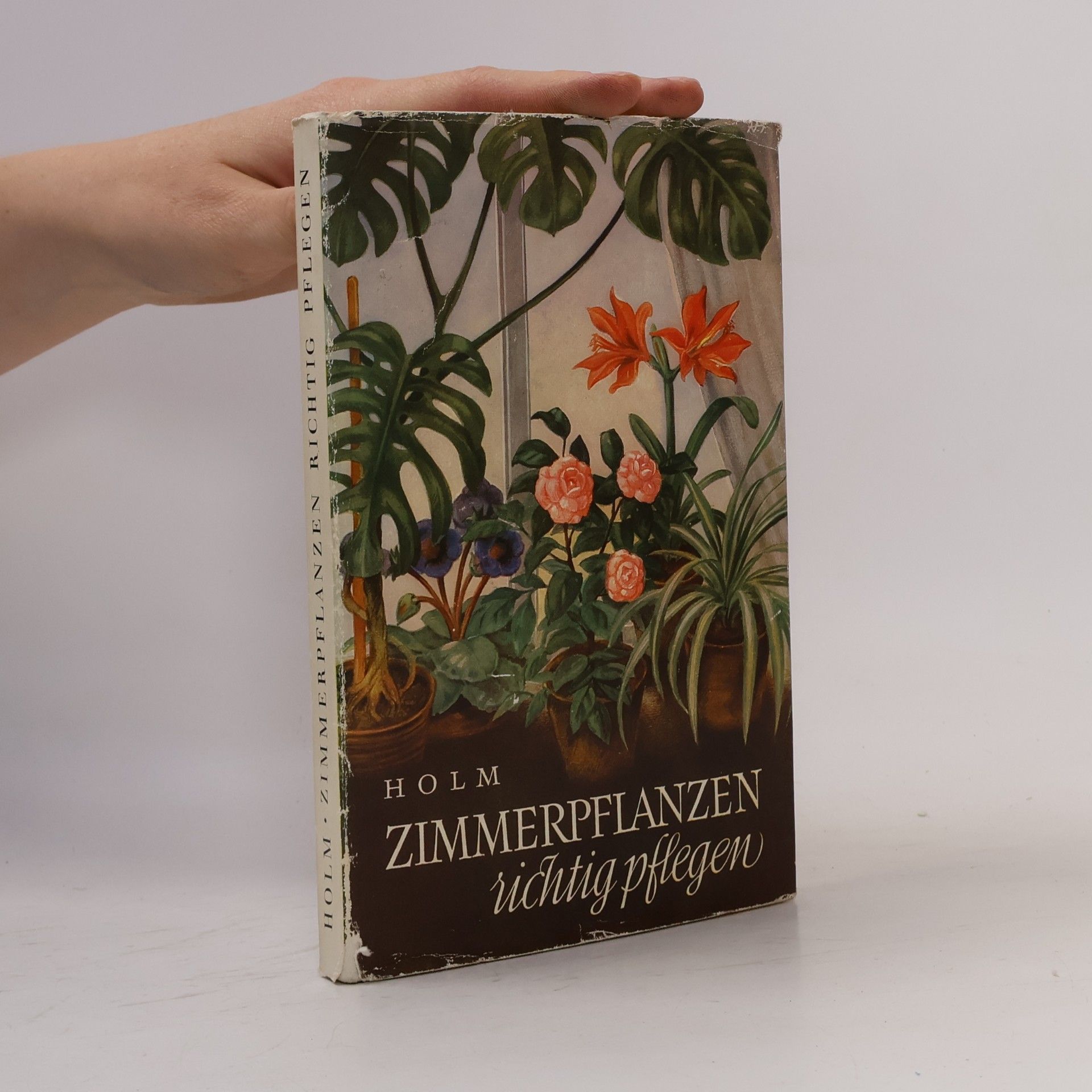 Hermann Holm Zimmerpflanzen richtig pflegen