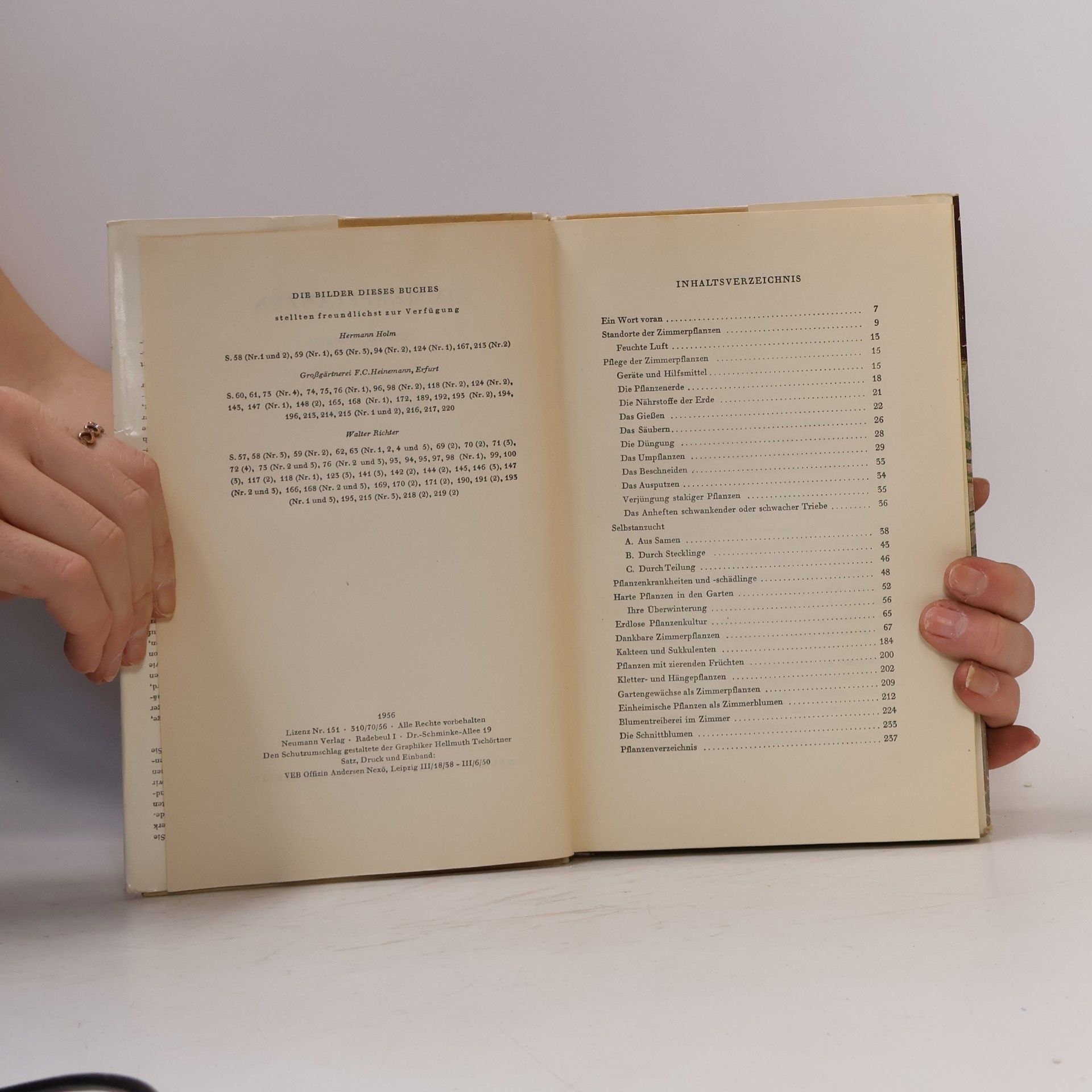Hermann Holm Zimmerpflanzen richtig pflegen