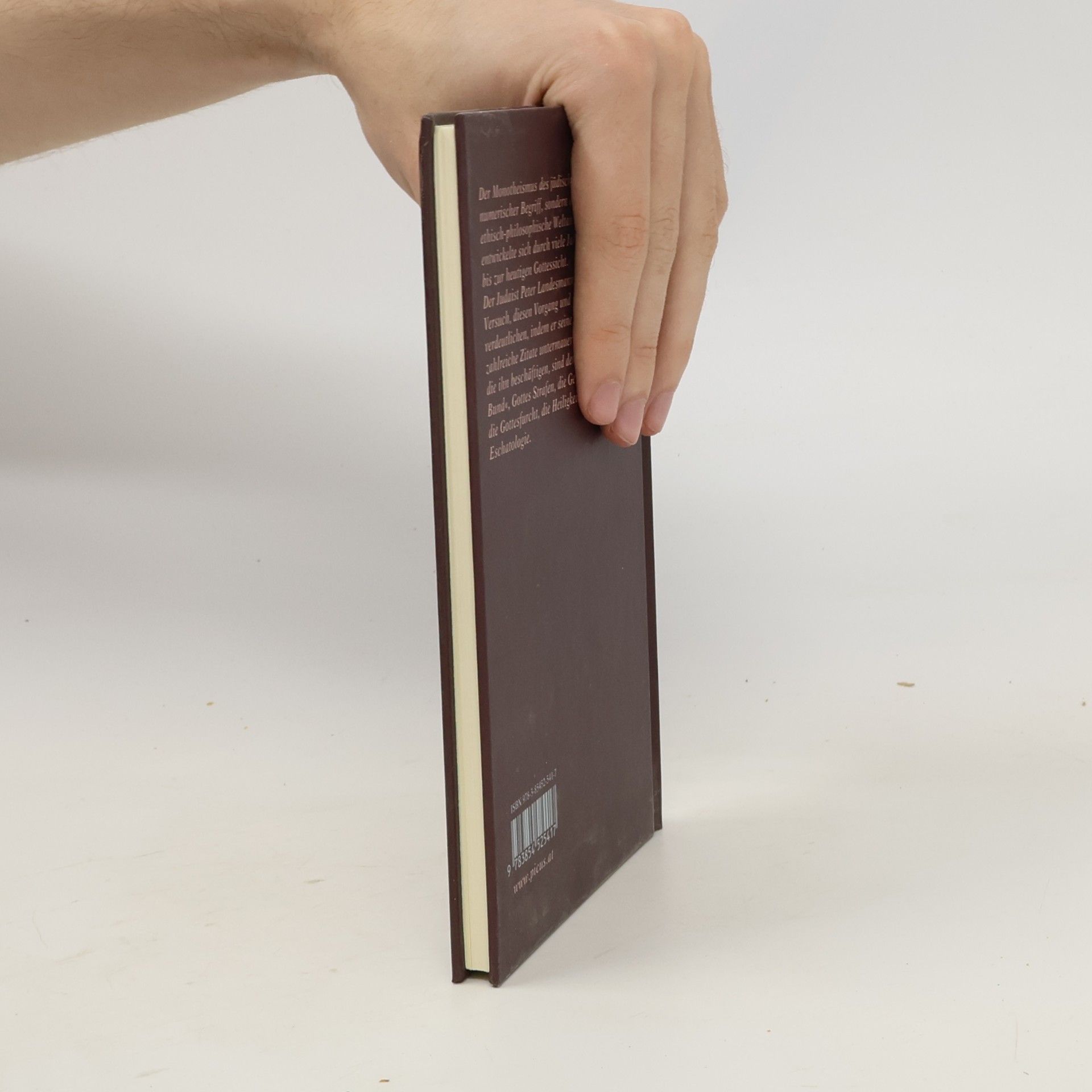 Peter Landesmann Die Gottessicht in der Hebräischen Bibel