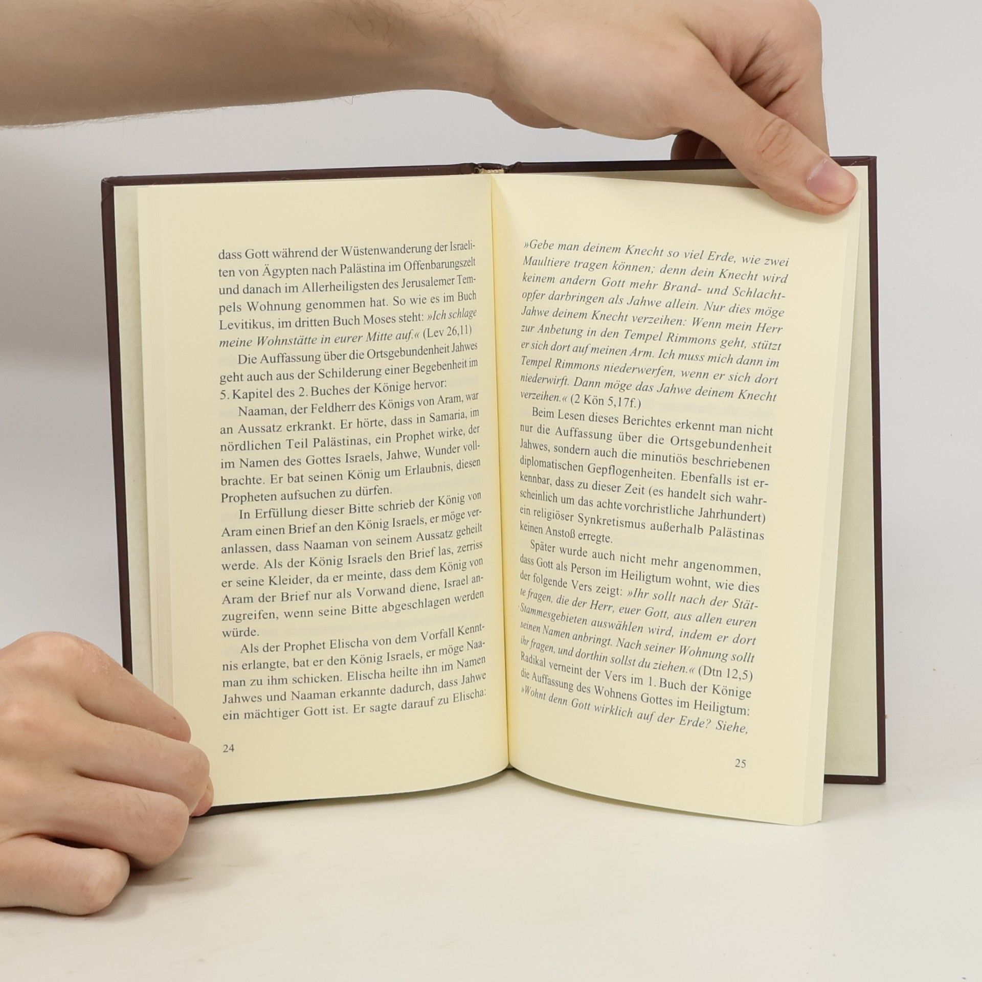 Peter Landesmann Die Gottessicht in der Hebräischen Bibel