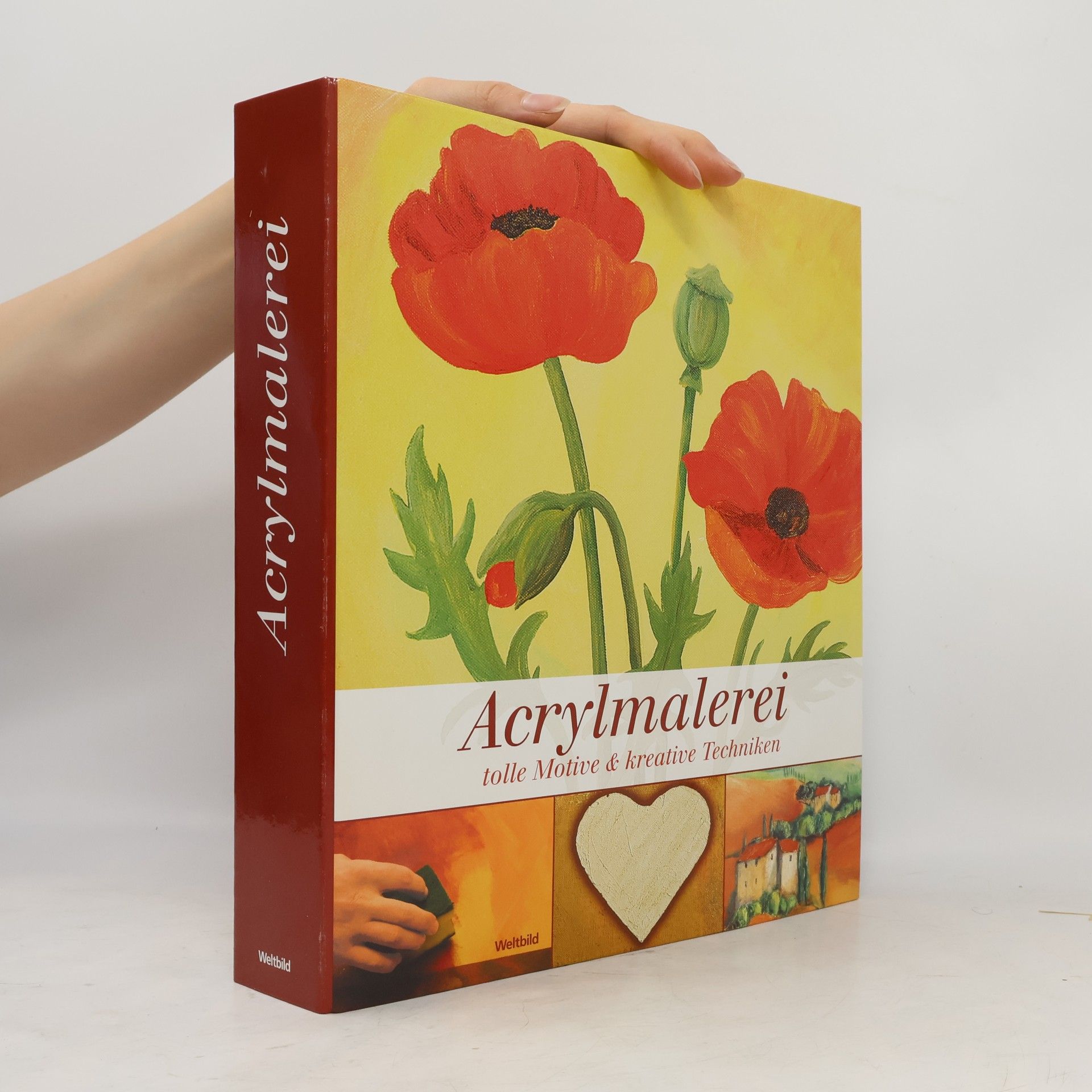 Autorenkollektiv Acrylmalerei tolle Motive & kreative Techniken