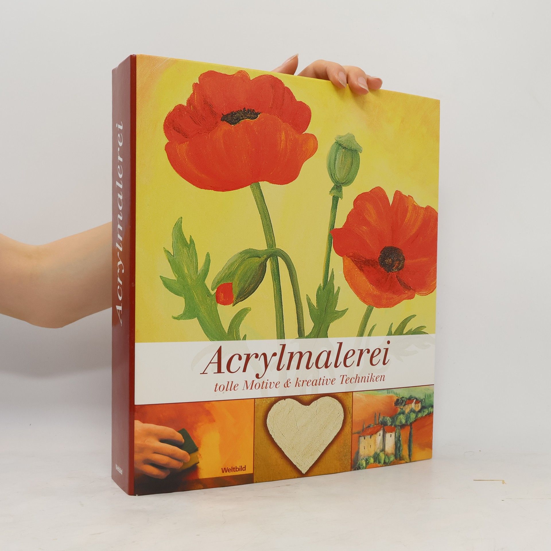 Autorenkollektiv Acrylmalerei tolle Motive & kreative Techniken