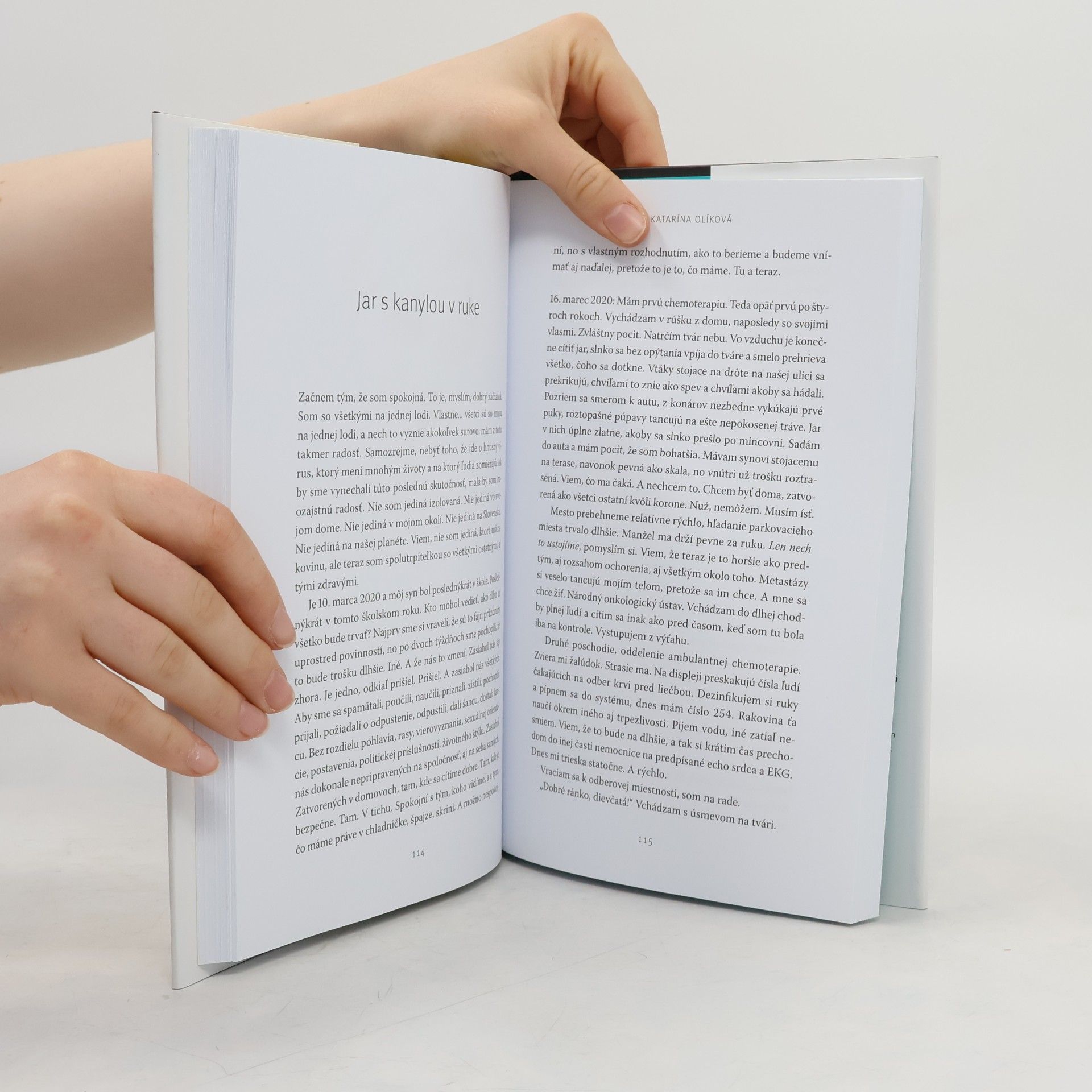 Autorenkollektiv Celkom (ne)obyčajné veci izolovanej doby