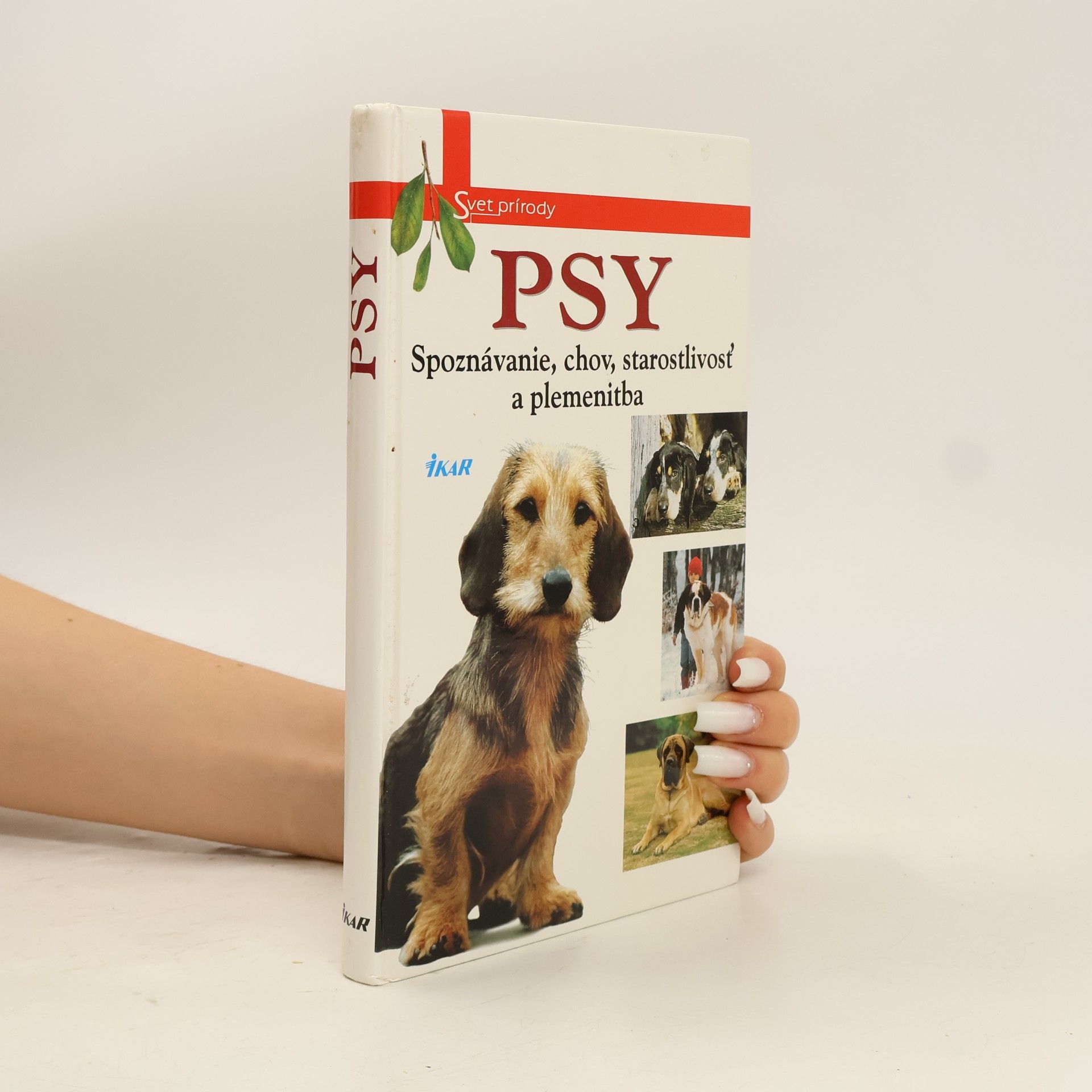Psy