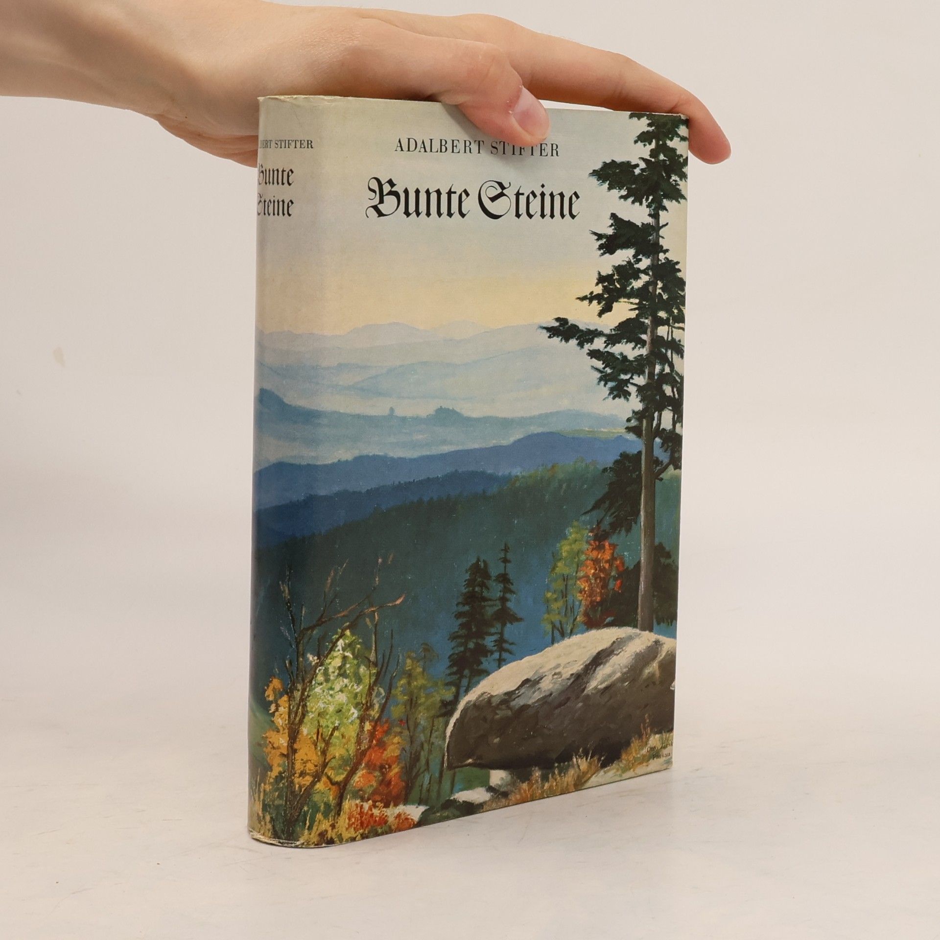 Adalbert Stifter Bunte Steine