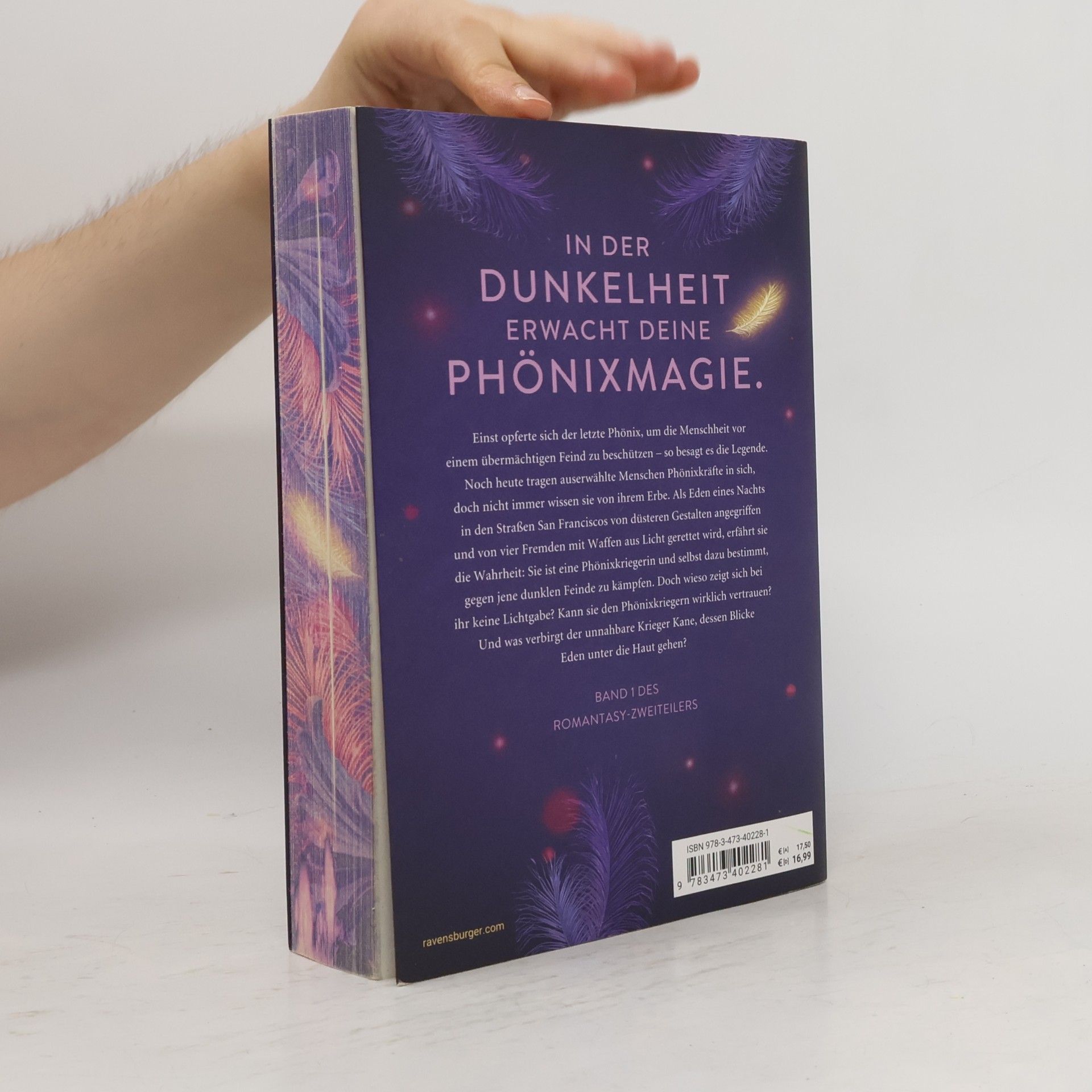 Greta Milán Die Legende des Phönix, Band 1: Dunkelaura