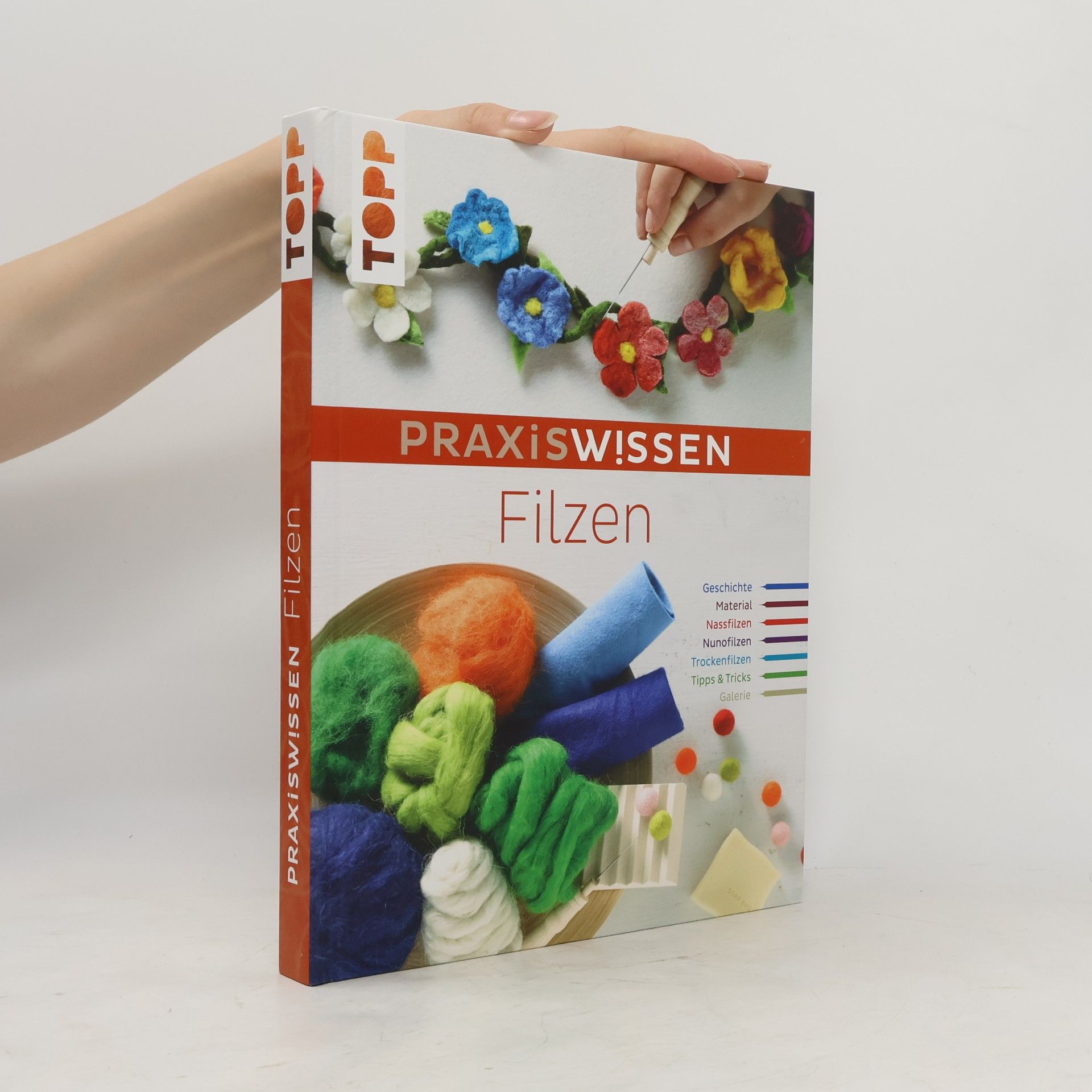 Monique Rahner PraxisWissen Filzen