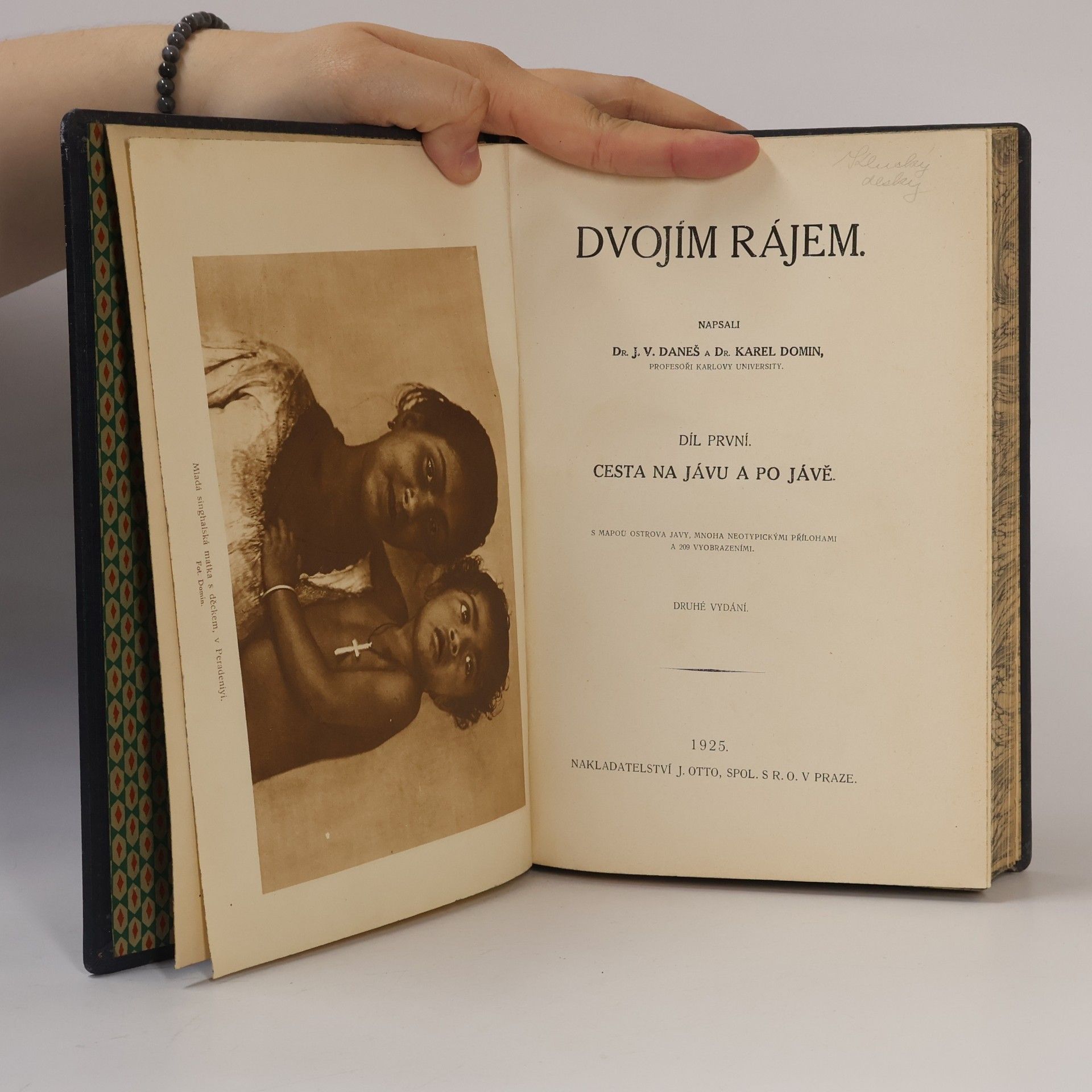 J. V. Daneš Dvojím rájem