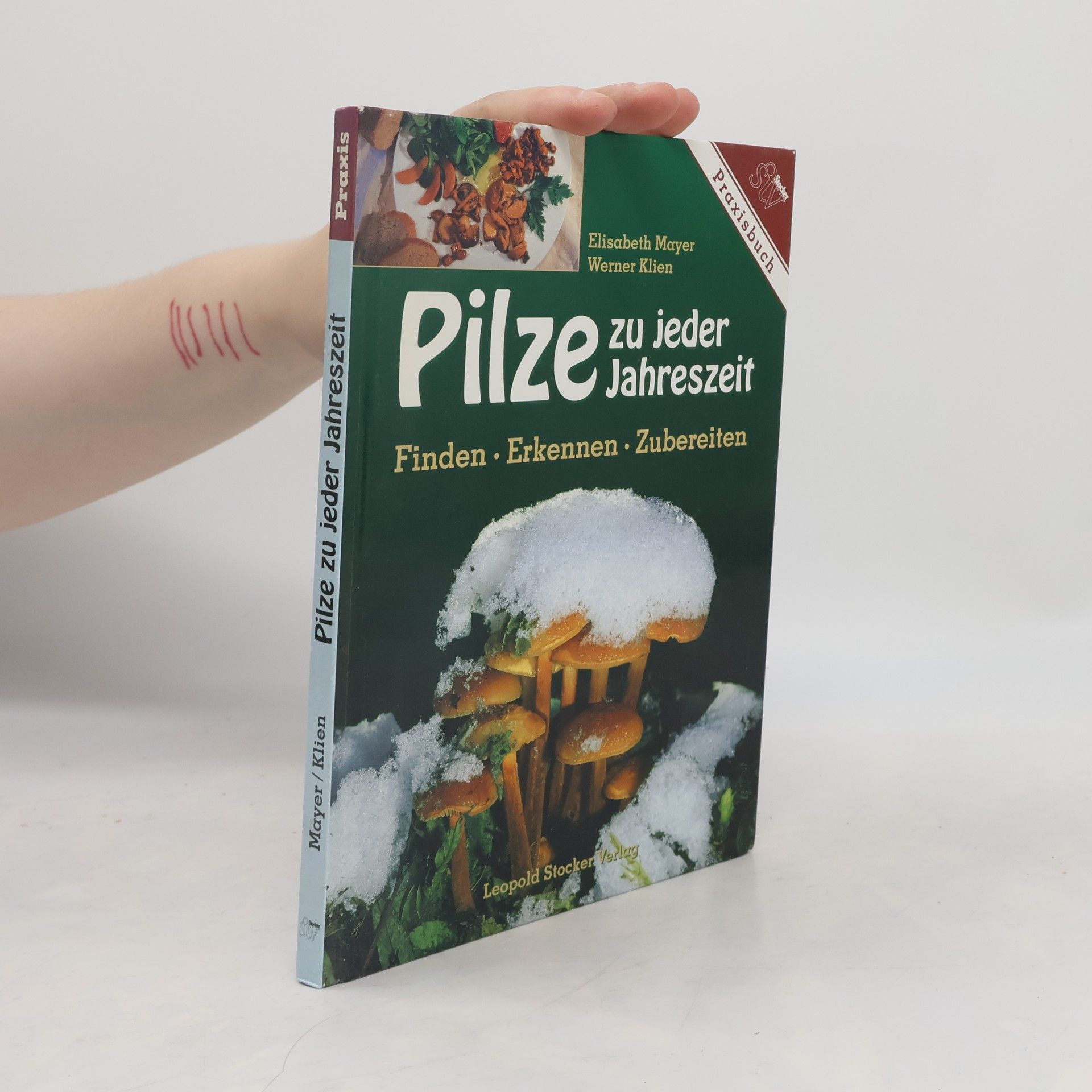 Elisabeth Maria Mayer Pilze zu jeder Jahreszeit