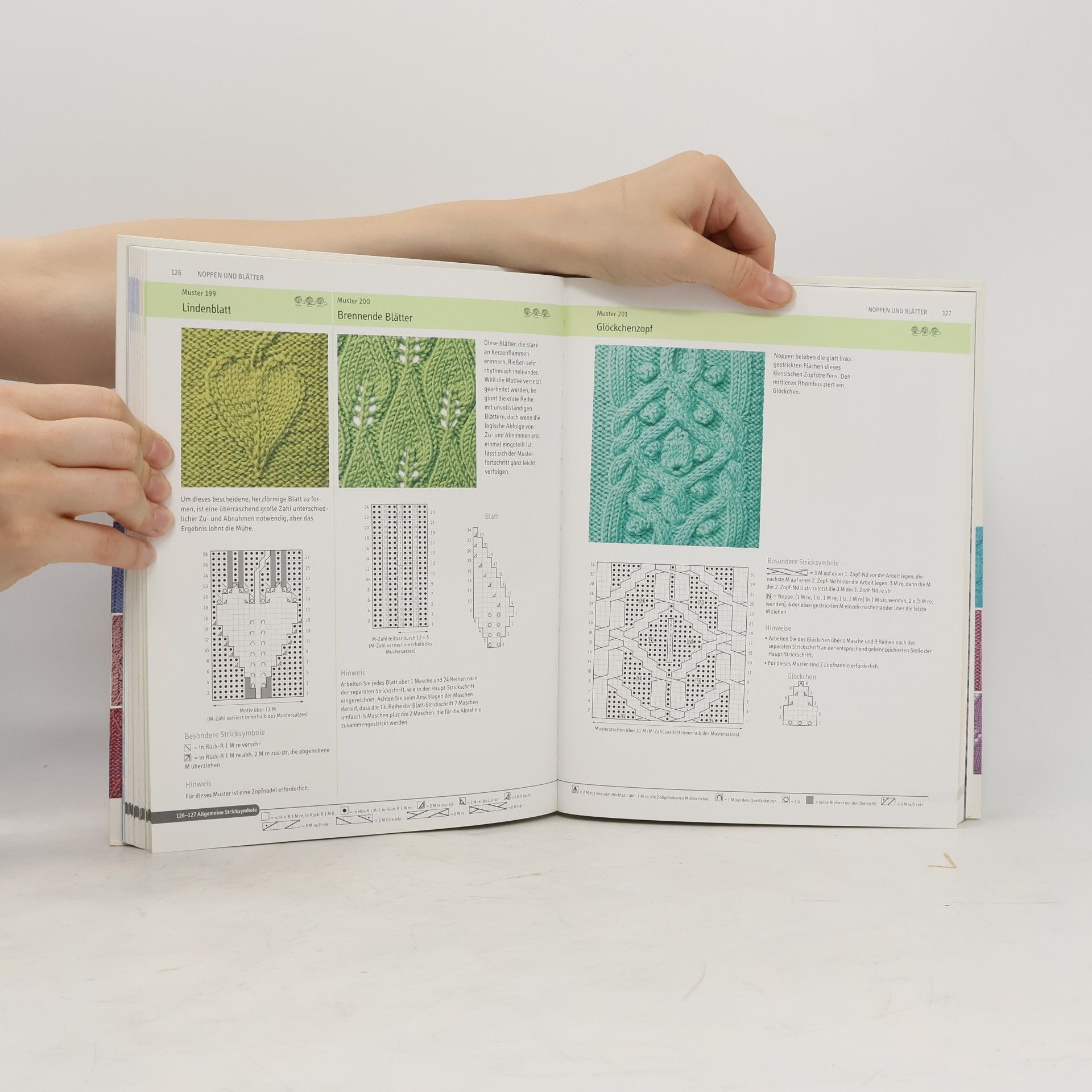 Lesley Stanfield Das große Strickmusterbuch