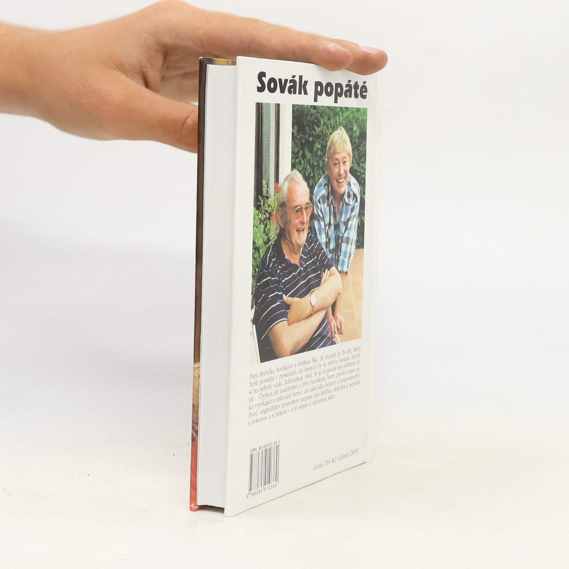 Anna Sováková Sovák popáté. Život se Sovákem, aneb, Uragán